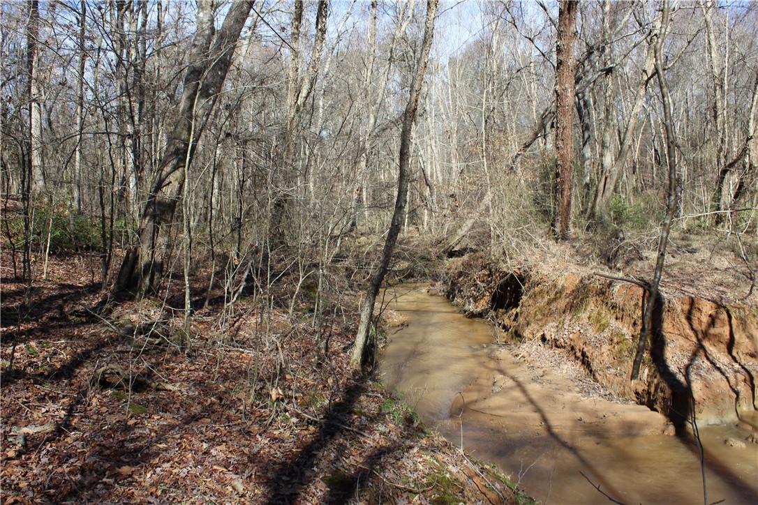 44-ac Olden Porter Road Pendleton, SC 29670 - Photo 14 of 19