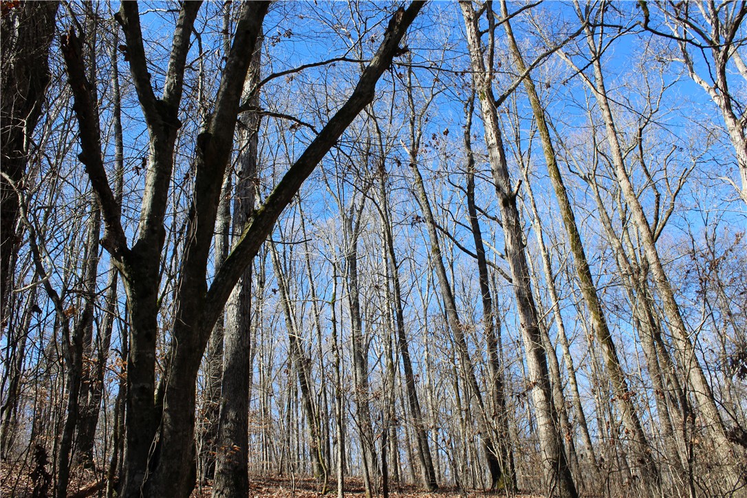 44-ac Olden Porter Road Pendleton, SC 29670 - Photo 15 of 19
