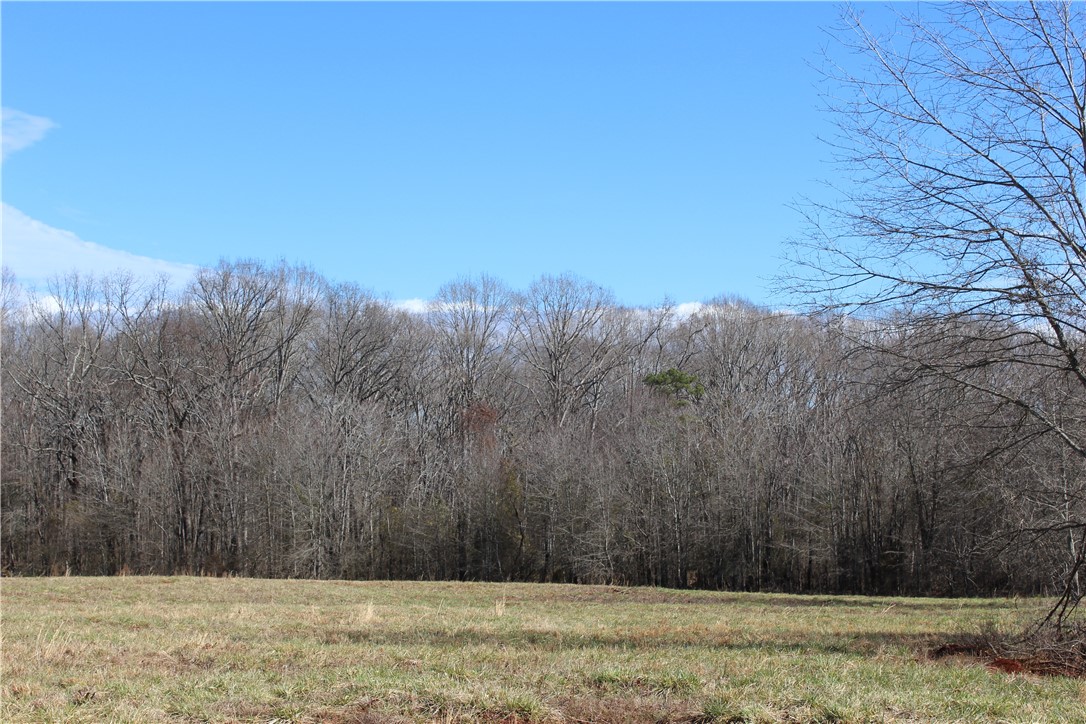44-ac Olden Porter Road Pendleton, SC 29670 - Photo 16 of 19