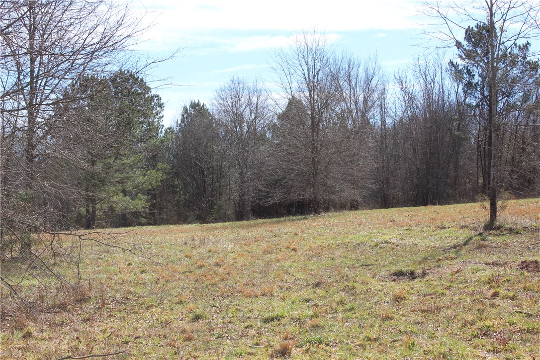 44-ac Olden Porter Road Pendleton, SC 29670 - Photo 17 of 19