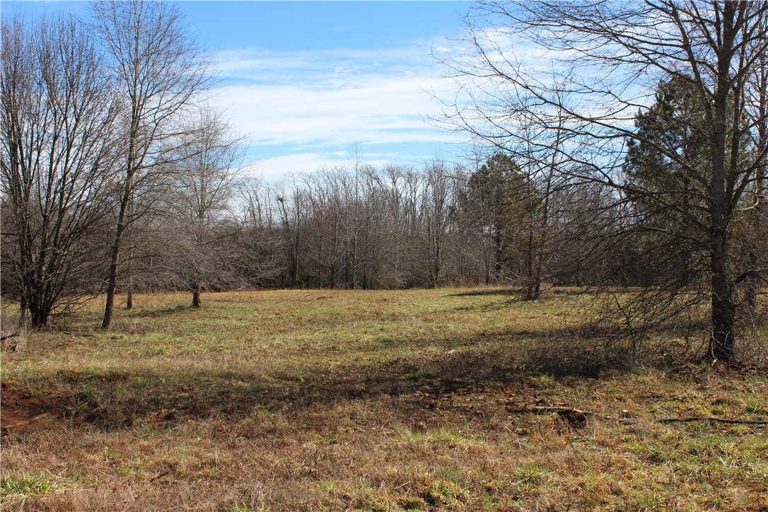 44-ac Olden Porter Road Pendleton, SC 29670 - Photo 18 of 19
