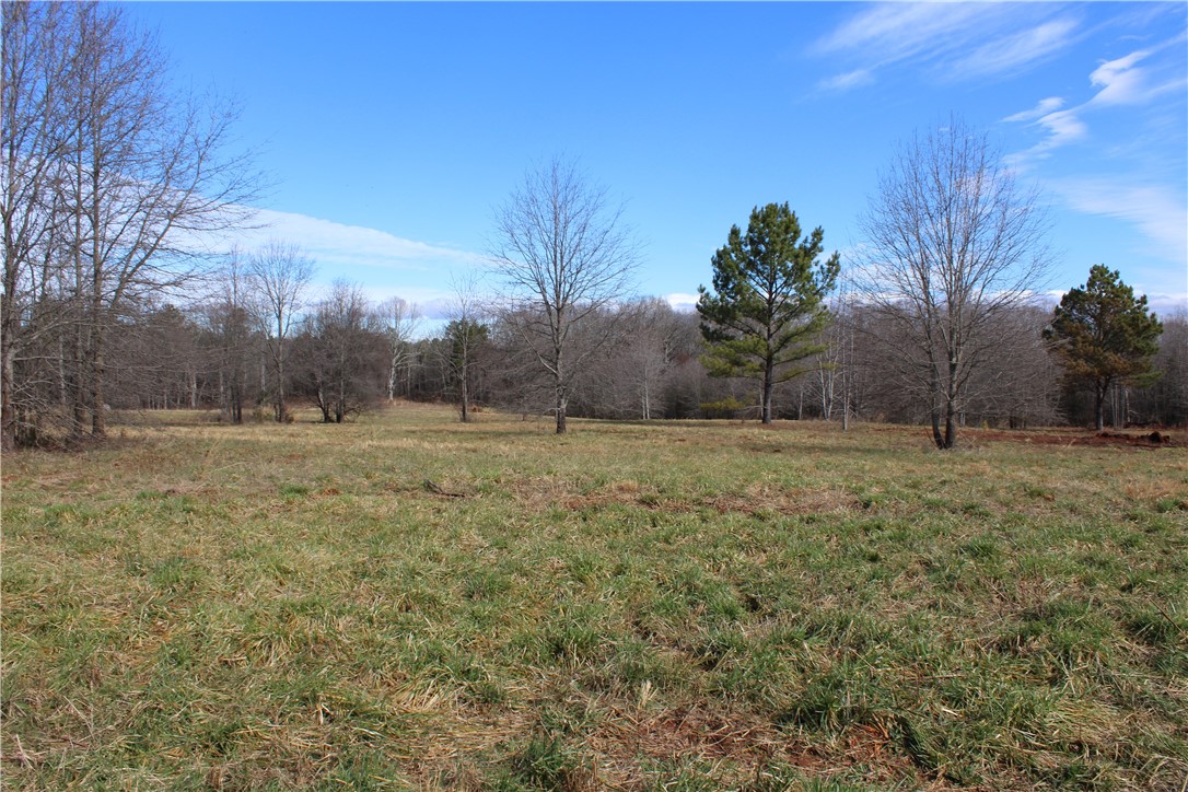 44-ac Olden Porter Road Pendleton, SC 29670 - Photo 5 of 19