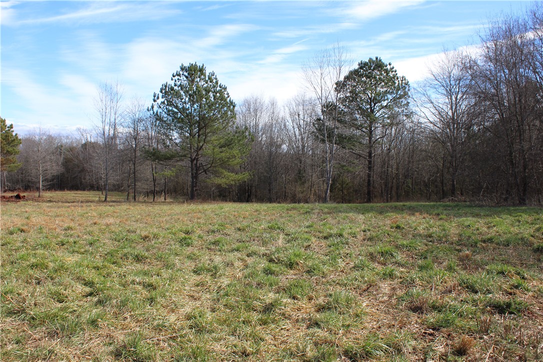 44-ac Olden Porter Road Pendleton, SC 29670 - Photo 6 of 19
