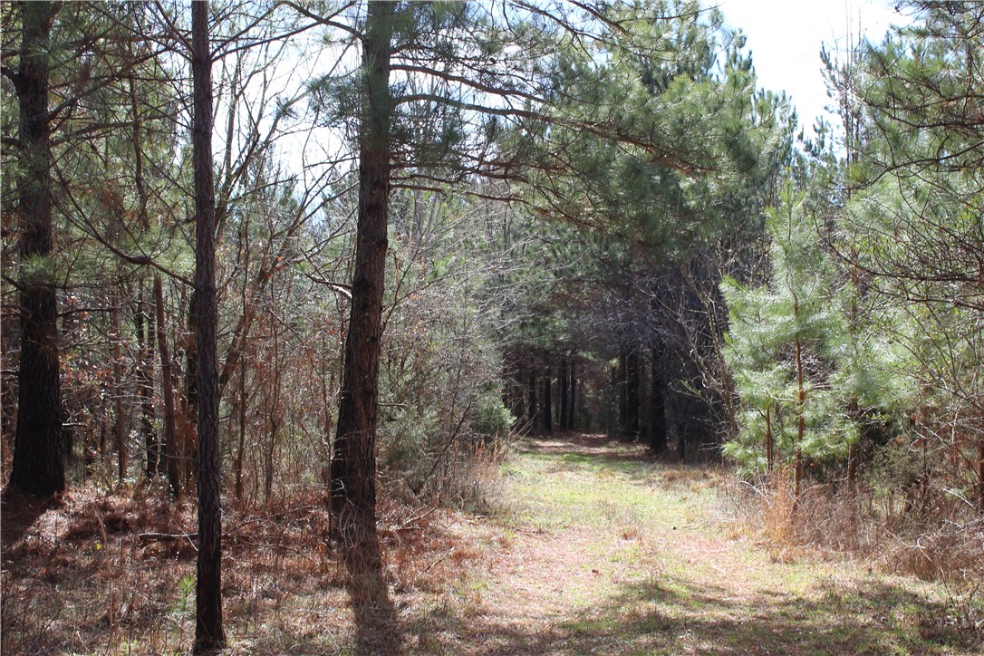 44-ac Olden Porter Road Pendleton, SC 29670 - Photo 7 of 19