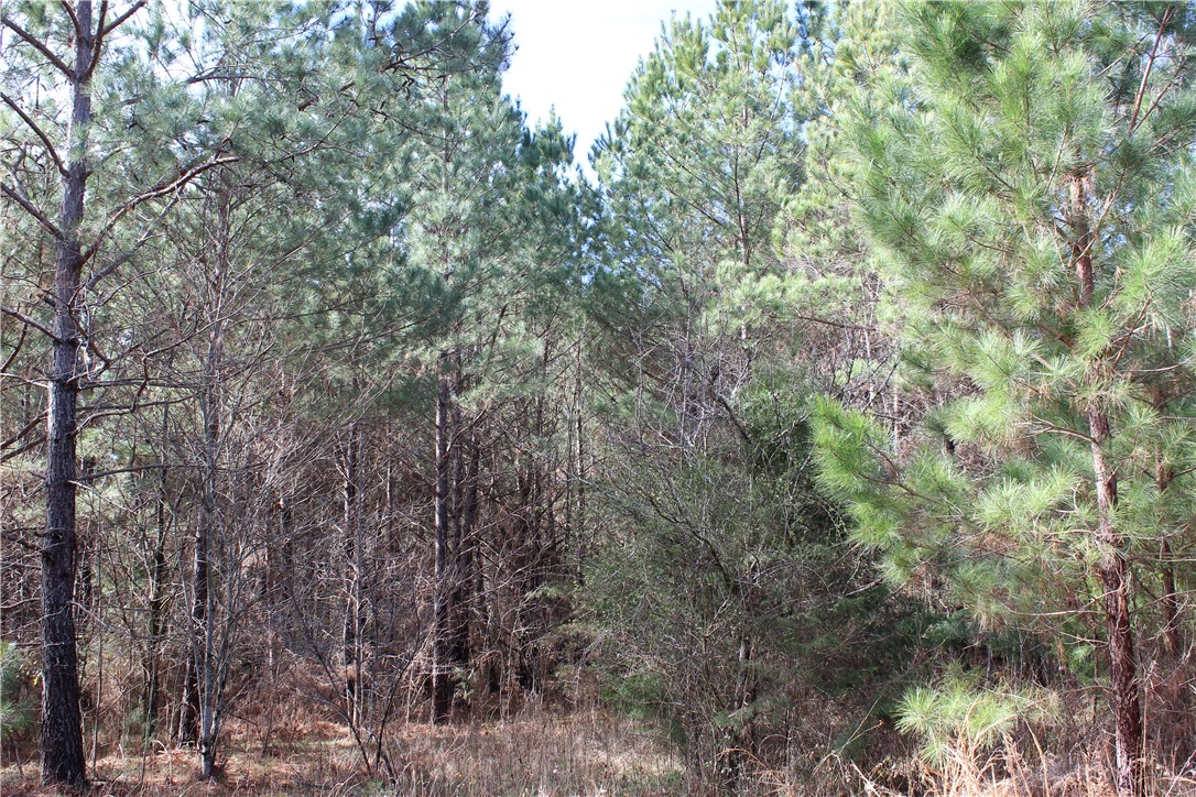 44-ac Olden Porter Road Pendleton, SC 29670 - Photo 8 of 19