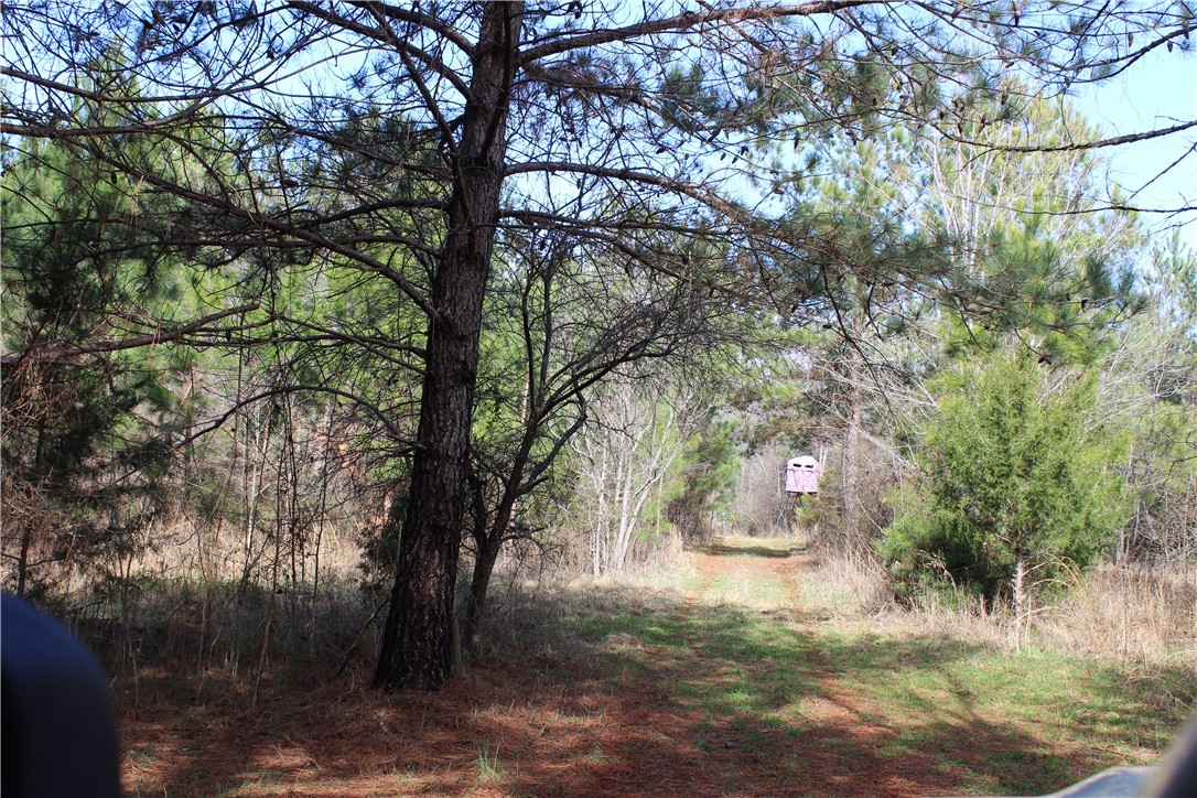 44-ac Olden Porter Road Pendleton, SC 29670 - Photo 10 of 19
