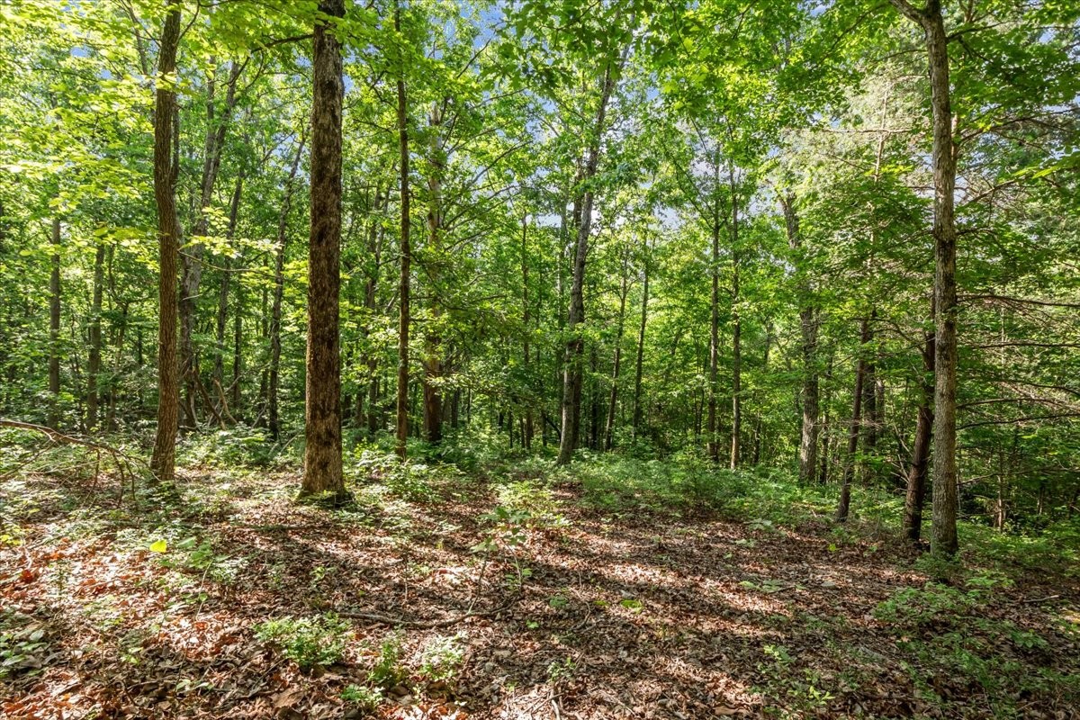 0 Highwater Road Waverly, TN 37185 - Photo 23 of 33 Gallery Image 23