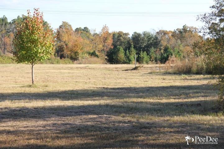 52 Whisper Wind Road McBee, SC 29101 - Photo 1 of 1 Gallery Image 1