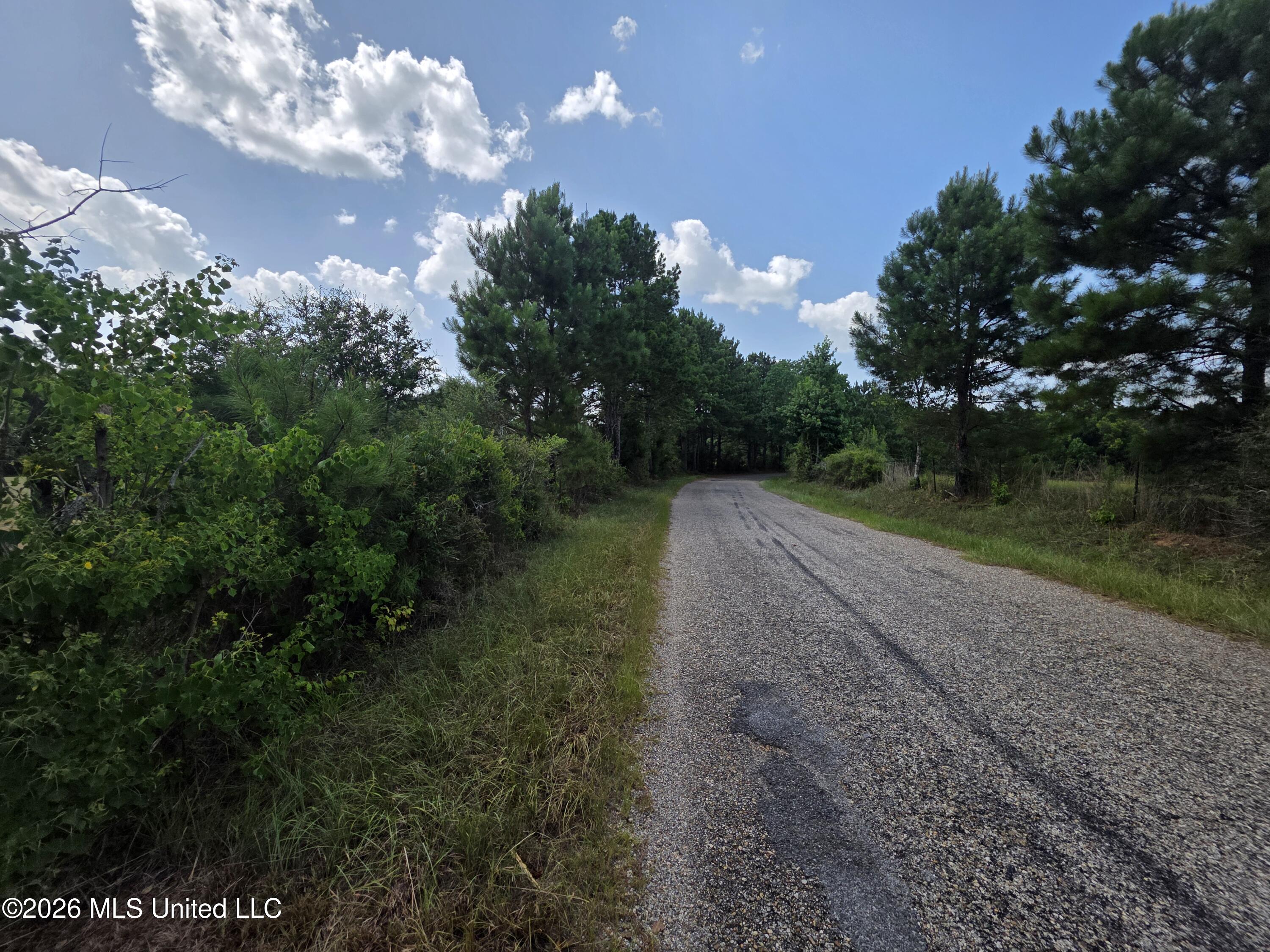 Mt Carmel Road Prentiss, MS 39474 - Photo 25 of 53 37943