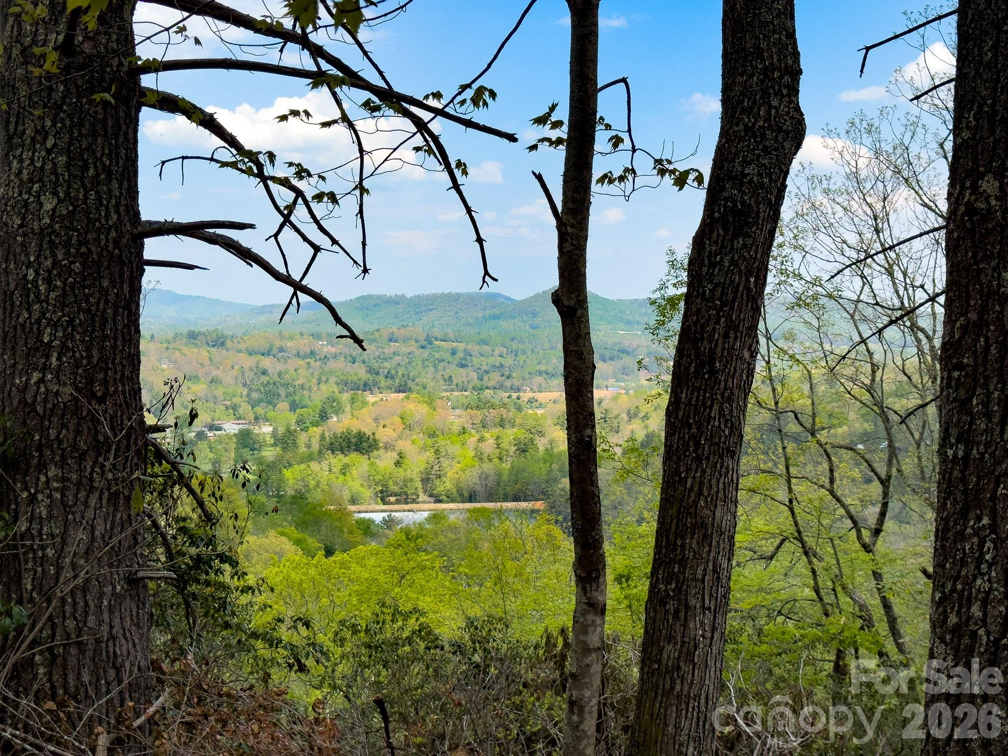 Tbd Pine Point Road Spruce Pine, NC 28777 - Photo 2 of 27