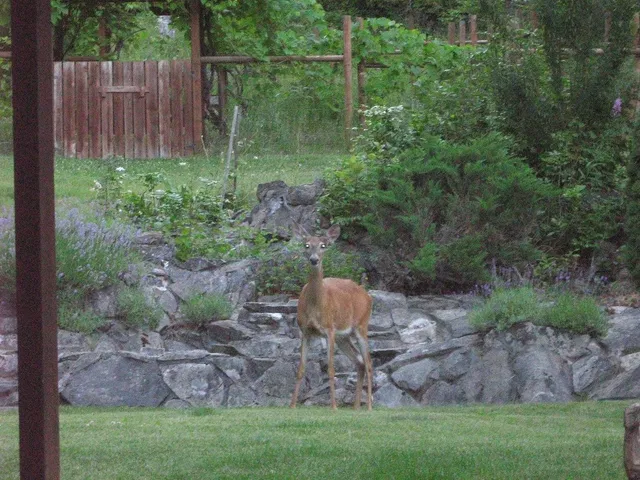 $619,000 | 59 Bisbee Creek Lane, Kettle Falls, WA 99141