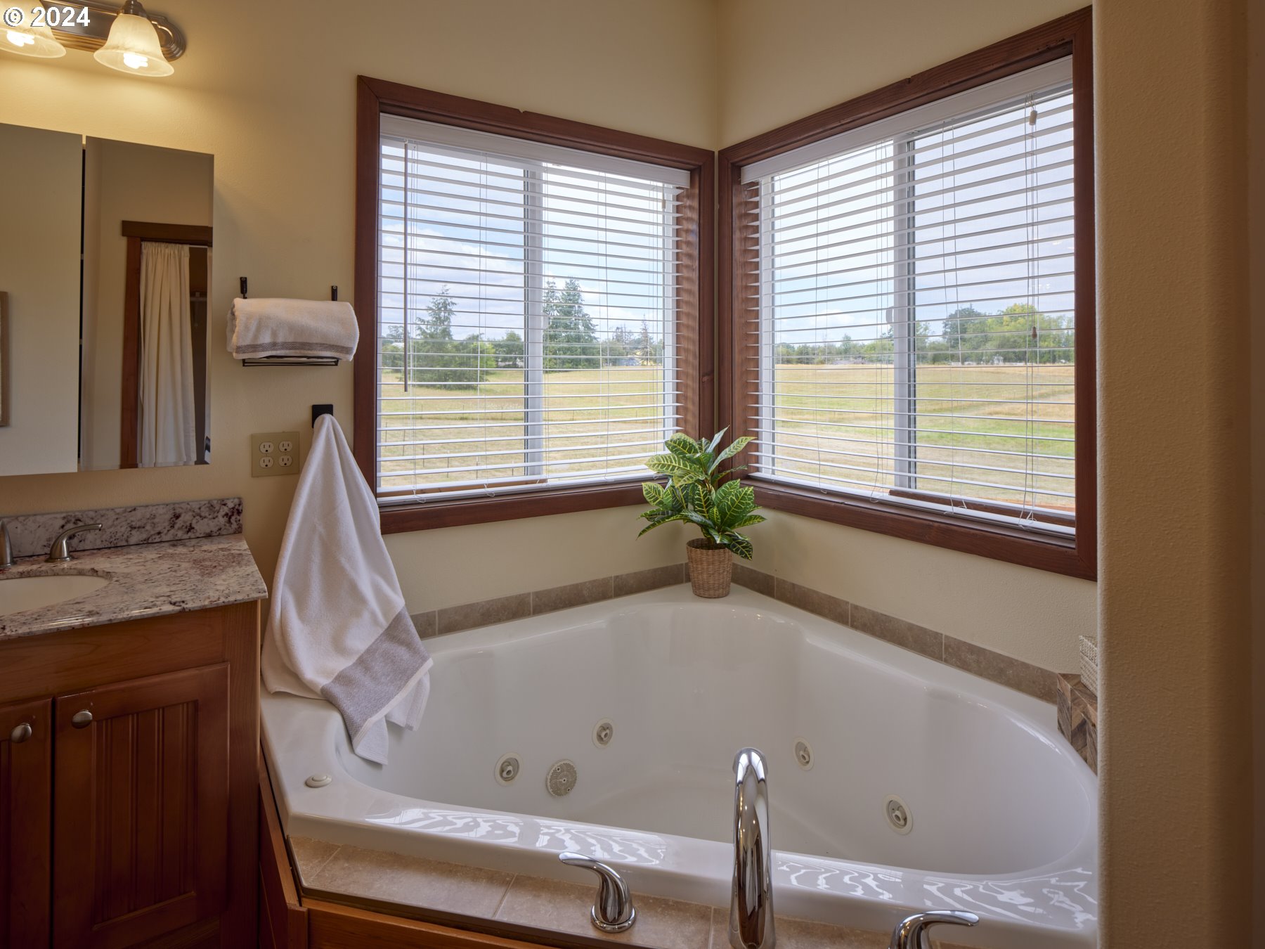29902 Northwest 51st Avenue Ridgefield, WA 98642 - Photo 24 of 46 a bath tub sitting in a bathroom next to a window