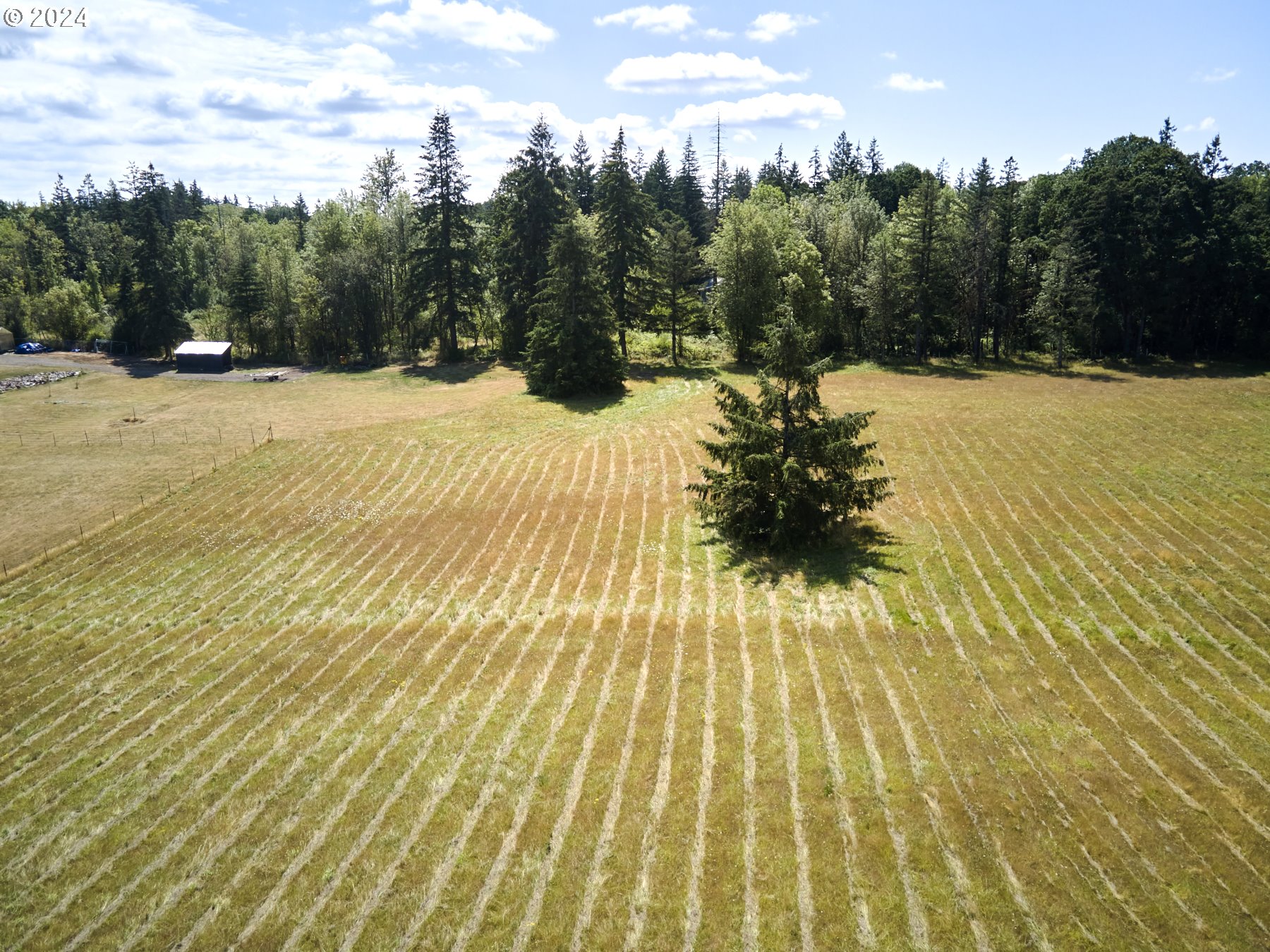 29902 Northwest 51st Avenue Ridgefield, WA 98642 - Photo 39 of 46 a view of a yard