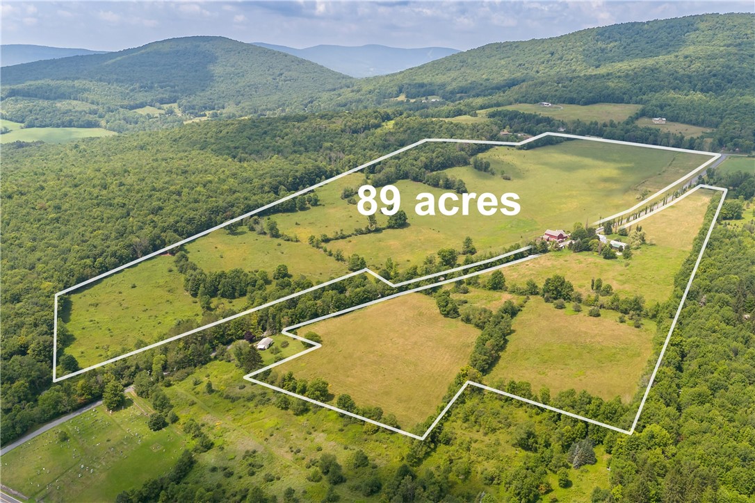 271 Cartwright Road Roxbury, NY 12421 - Photo 8 of 50