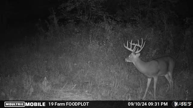 177-ac Tree Farm Road New Florence, MO 63363 - Photo 28 of 31