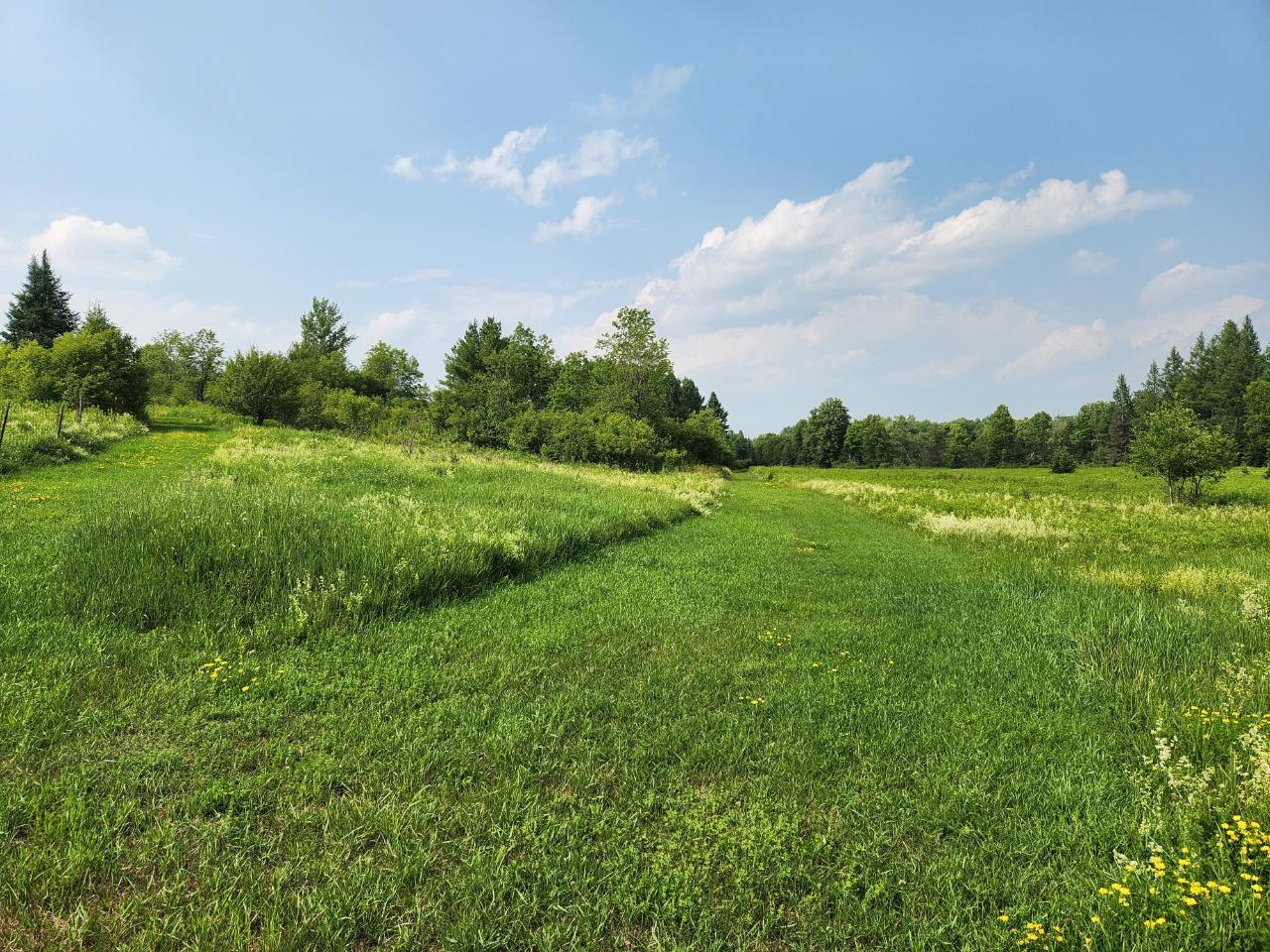 18765 Wallow Road Glidden, WI 54527 - Photo 25 of 58 Gallery Image 25