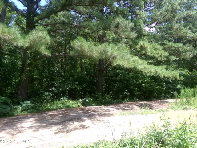$14,900 | Lot 16 Straightway Road, Fairmont, NC 28340