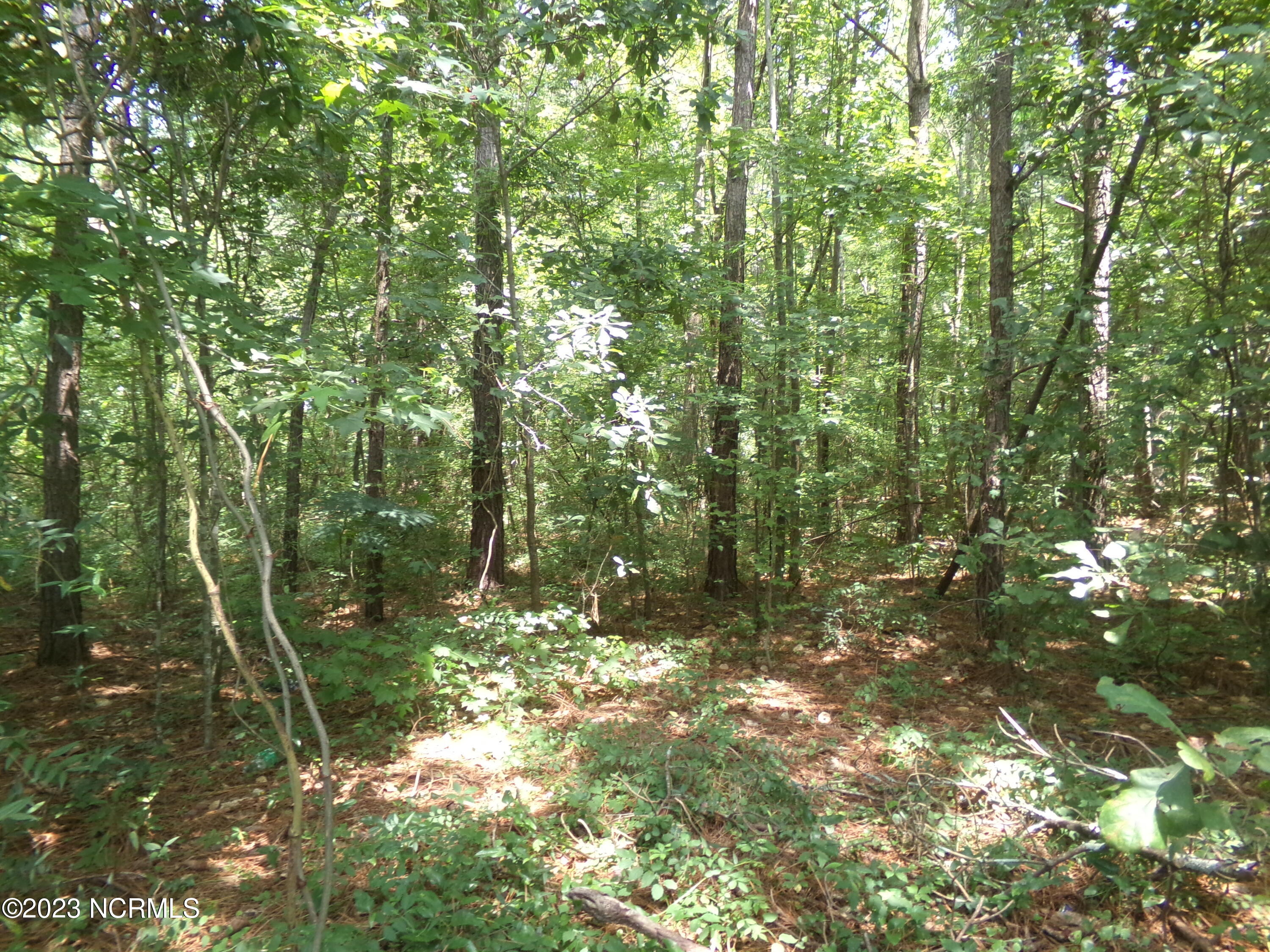 Lot 16 Straightway Road Fairmont, NC 28340 - Photo 2 of 3 139_0088