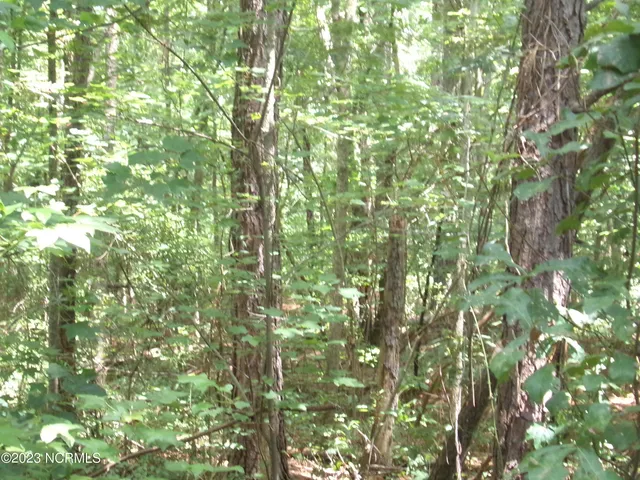 $14,900 | Lot 16 Straightway Road, Fairmont, NC 28340