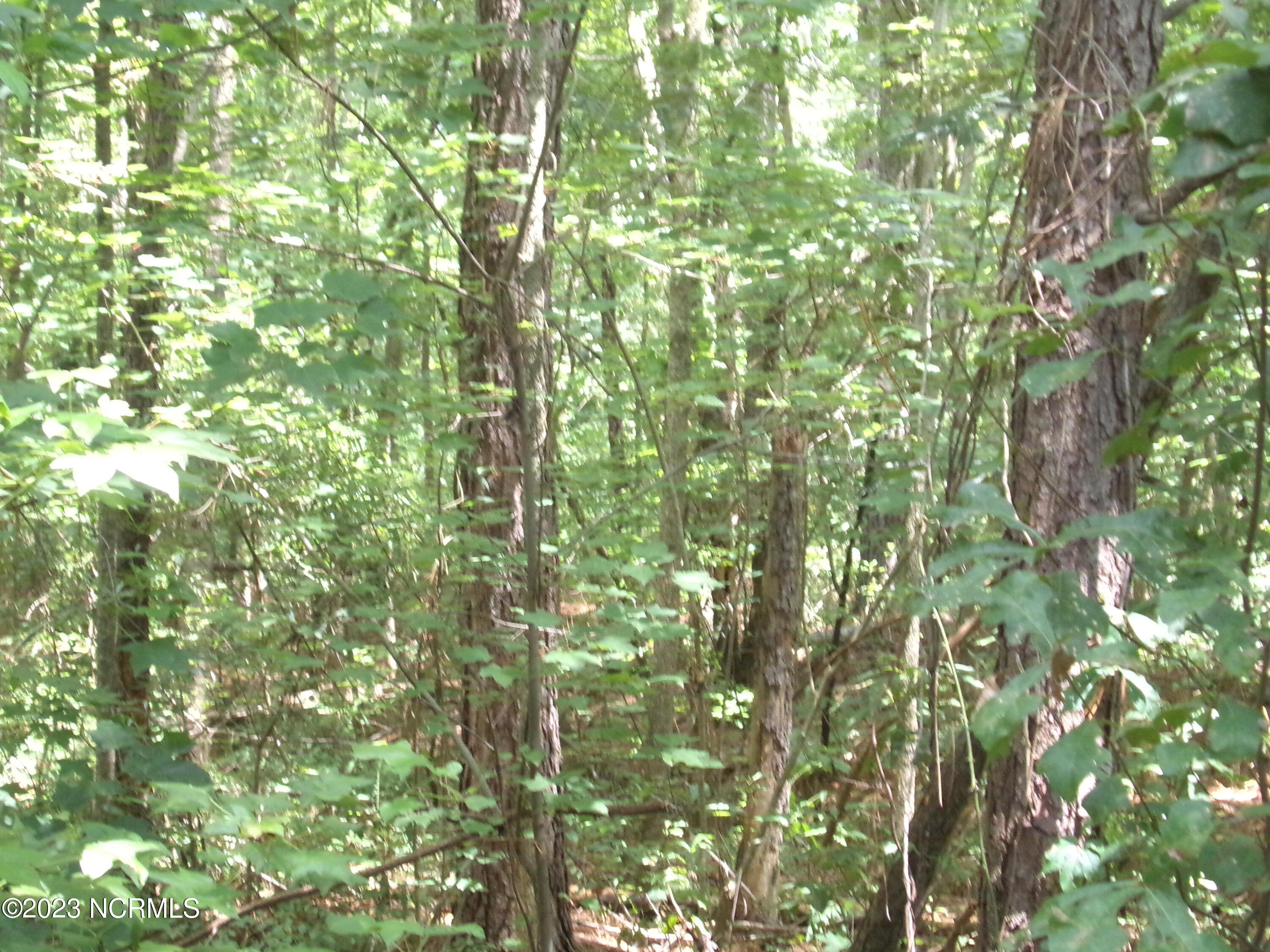 Lot 16 Straightway Road Fairmont, NC 28340 - Photo 3 of 3 139_0089