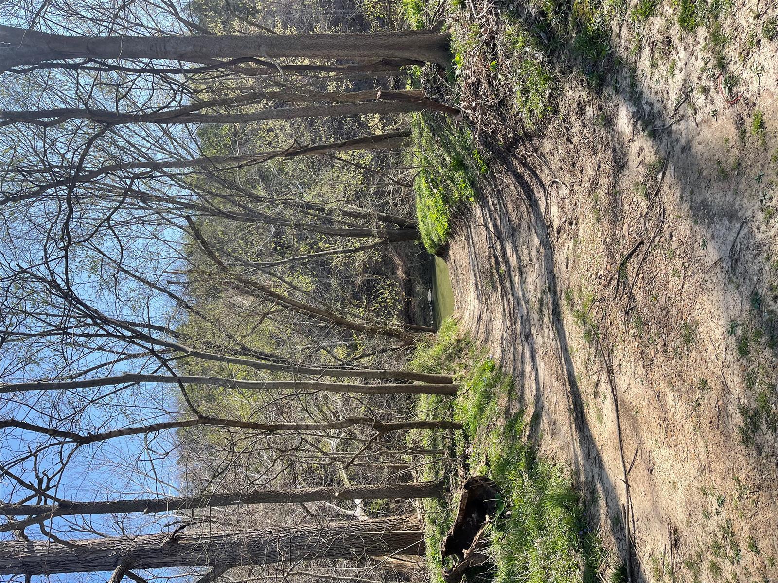 0 Indian Bend Road Rosebud, MO 63091 - Photo 4 of 12