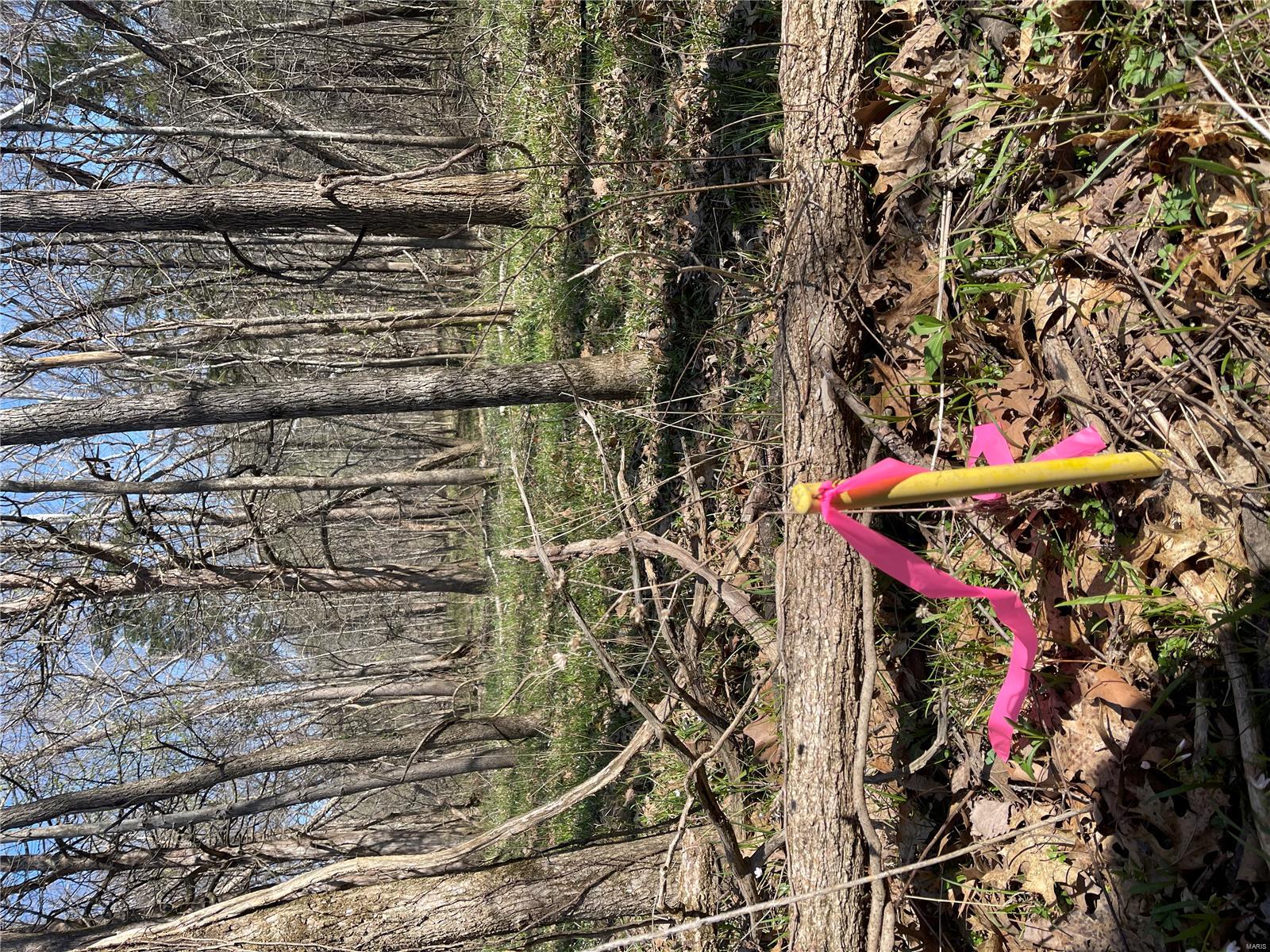 0 Indian Bend Road Rosebud, MO 63091 - Photo 5 of 12