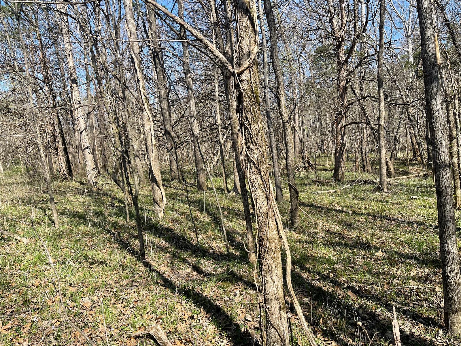 0 Indian Bend Road Rosebud, MO 63091 - Photo 7 of 12