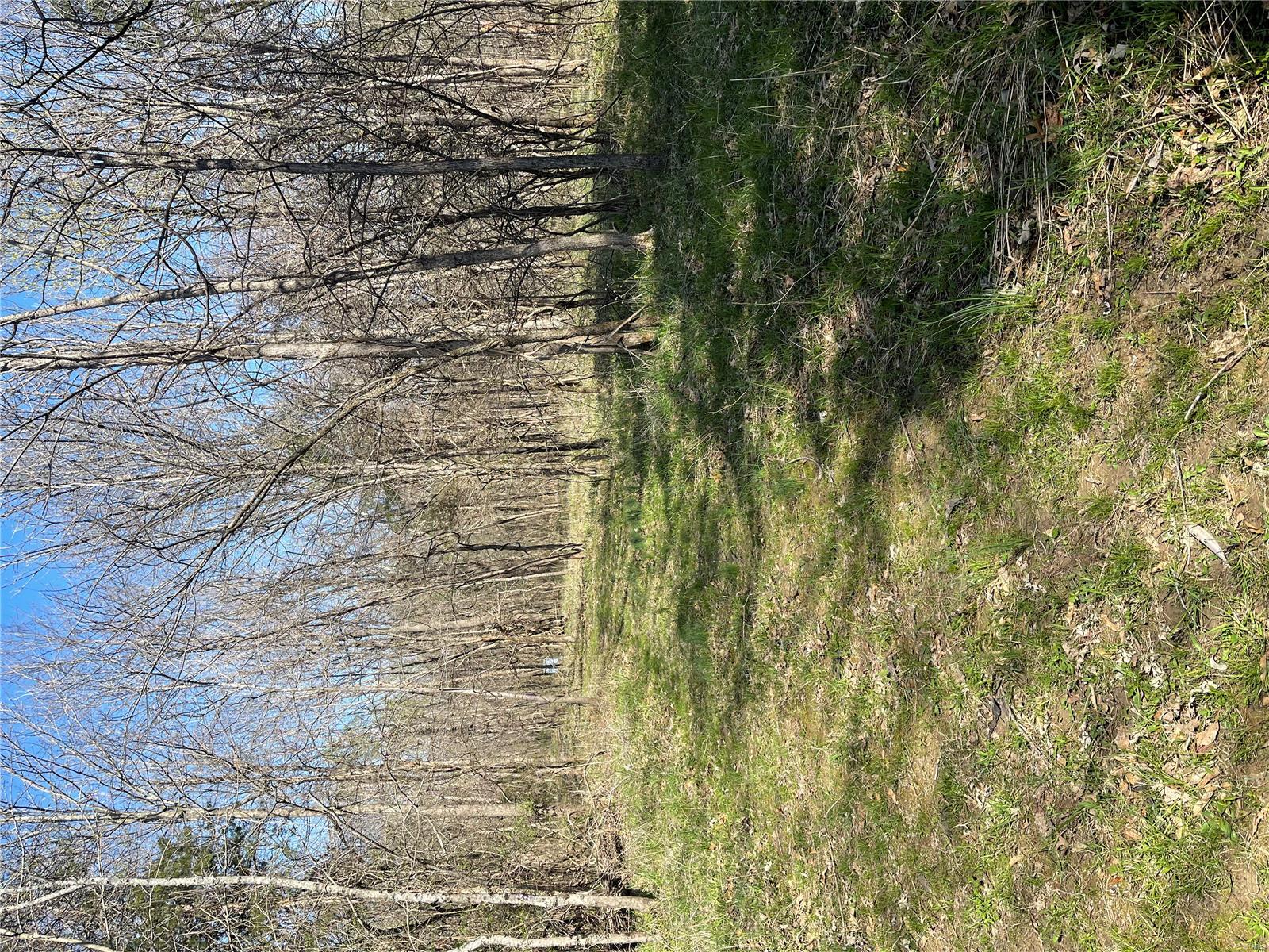 0 Indian Bend Road Rosebud, MO 63091 - Photo 8 of 12