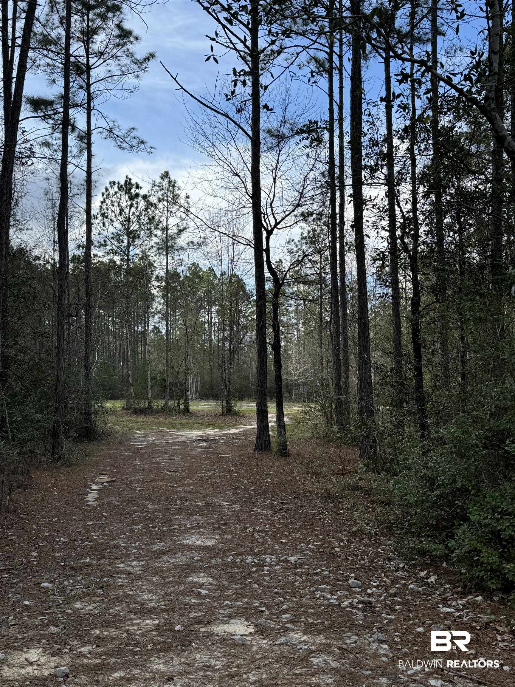 51235 Phillipsville Road Bay Minette, AL 36507 - Photo 54 of 63 View of tree filled area