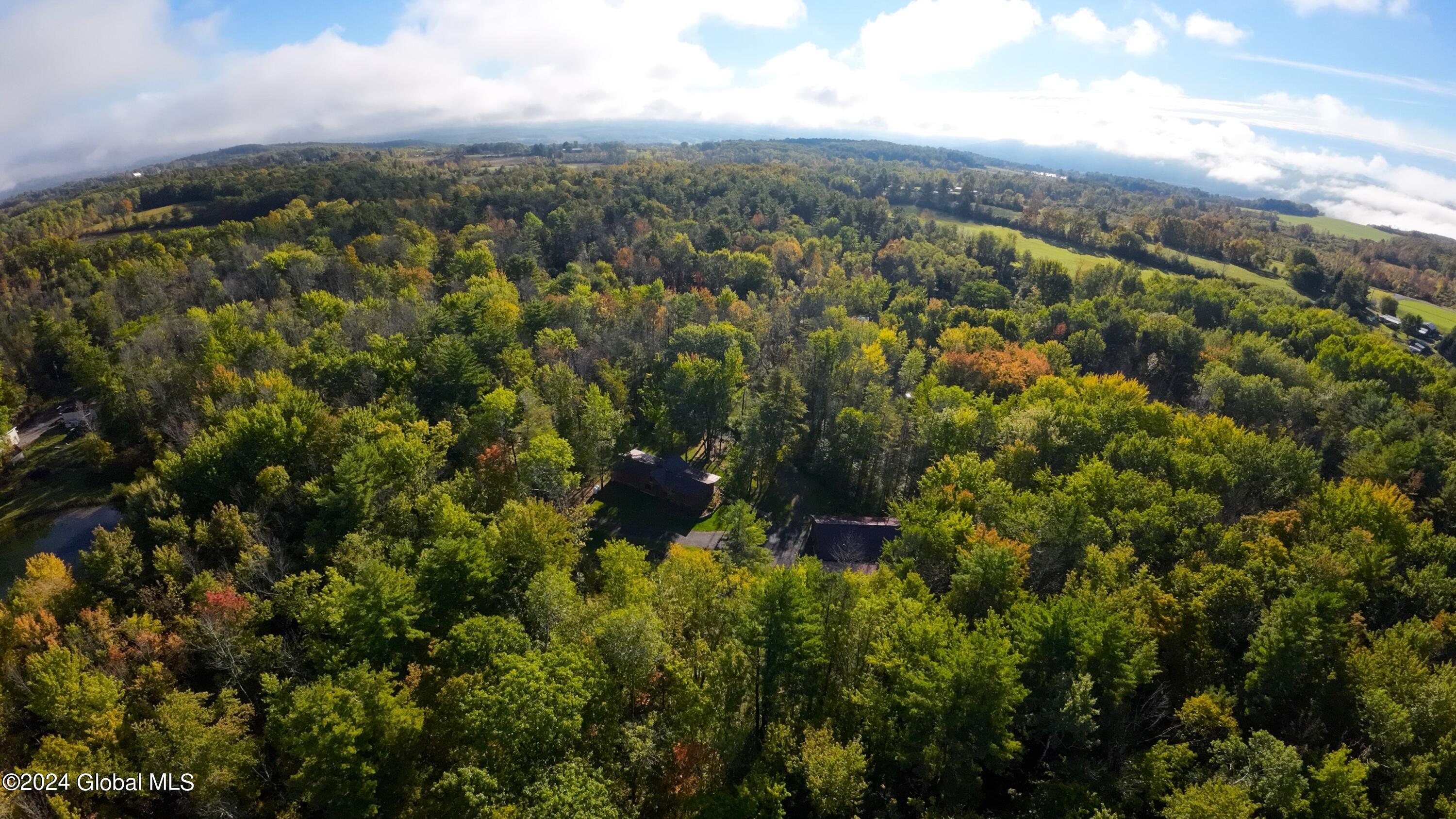 171 Freeds Road Carlisle, NY 12035 - Photo 49 of 92 DJI_0479