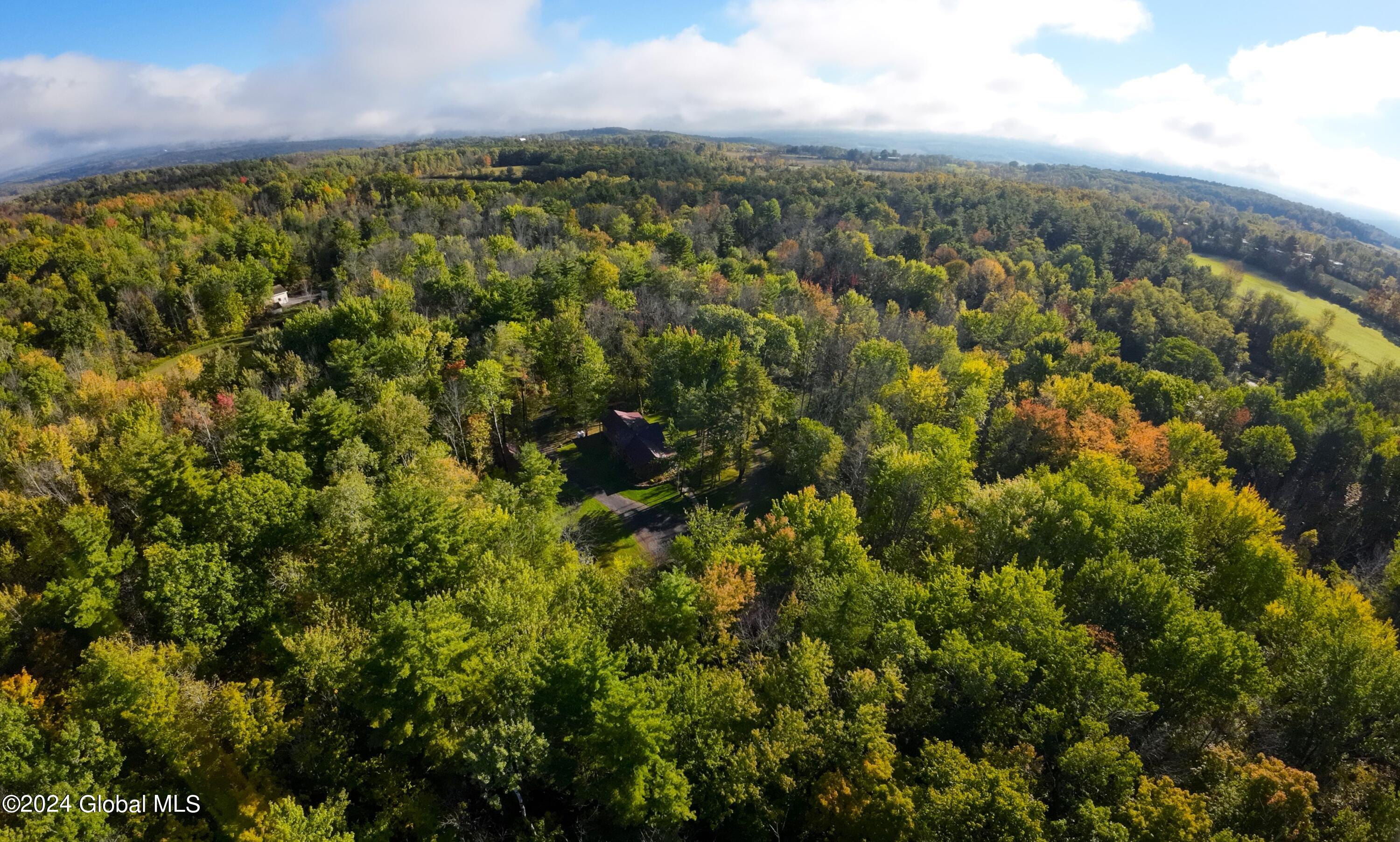 171 Freeds Road Carlisle, NY 12035 - Photo 51 of 92 DJI_0480