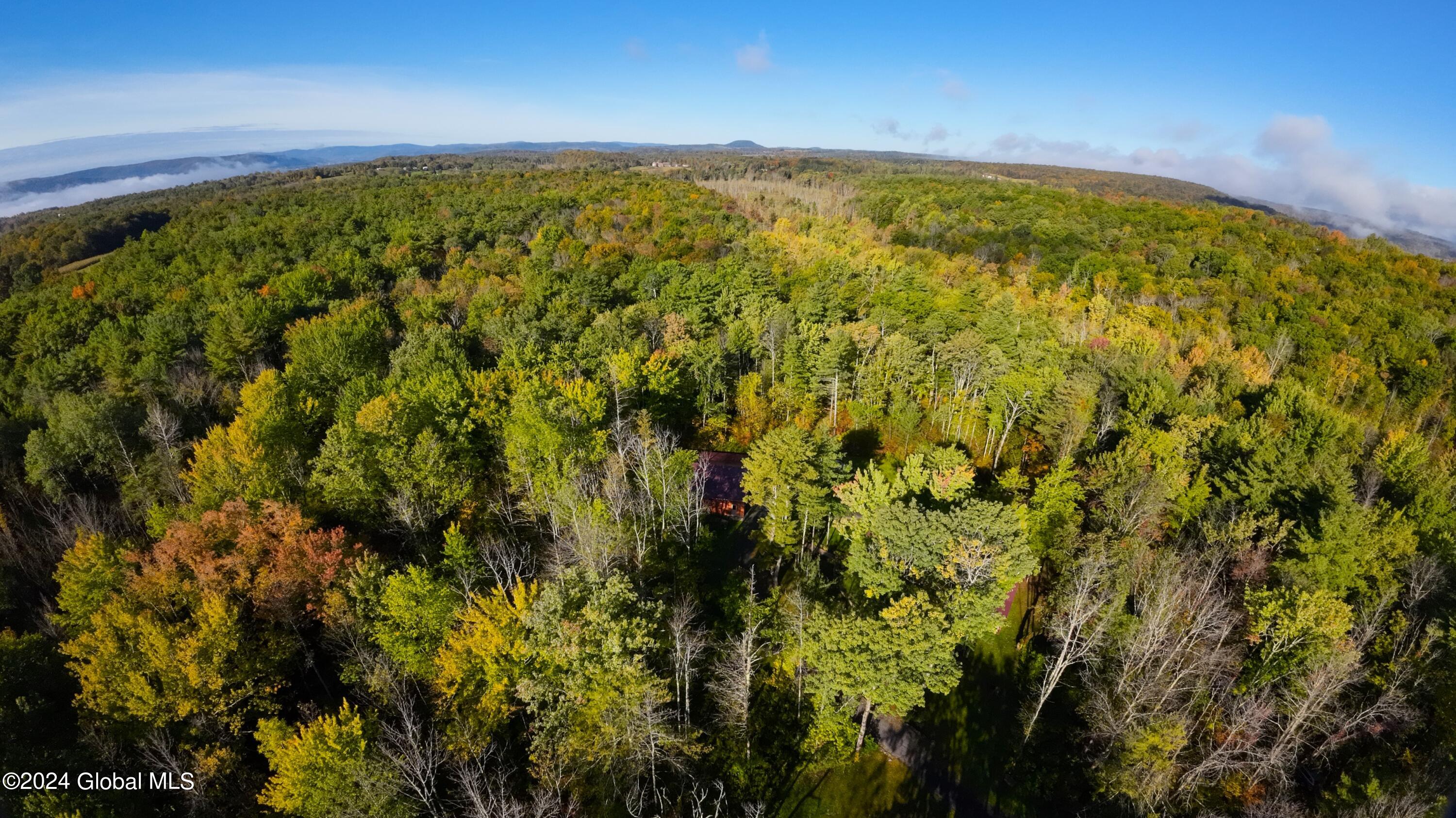 171 Freeds Road Carlisle, NY 12035 - Photo 54 of 92 DJI_0484