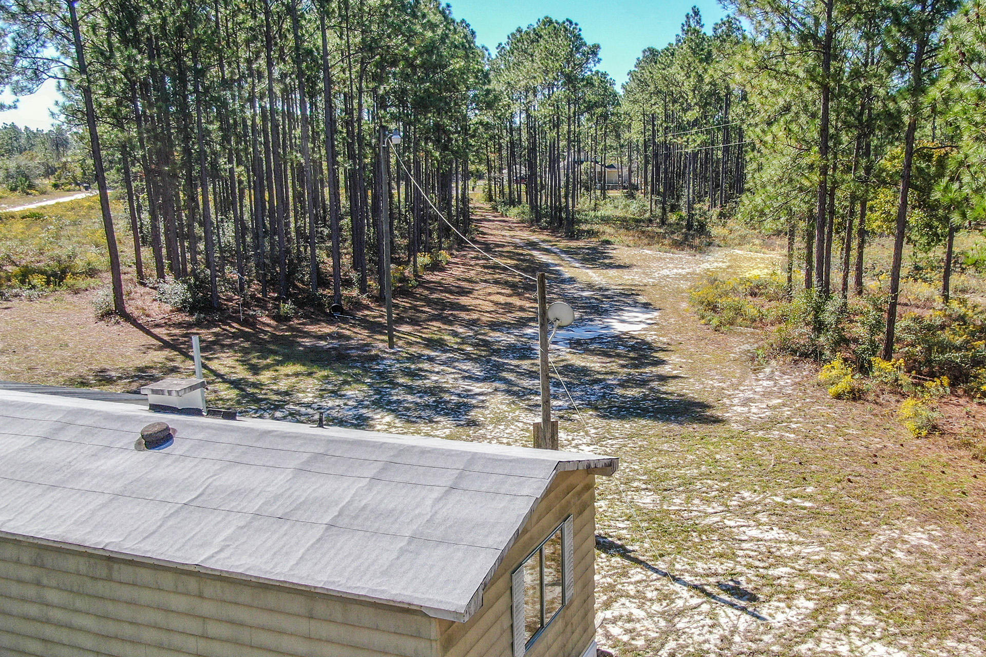 887 Don Graff Road Freeport, FL 32439 - Photo 7 of 17 a view of a yard with trees in the background