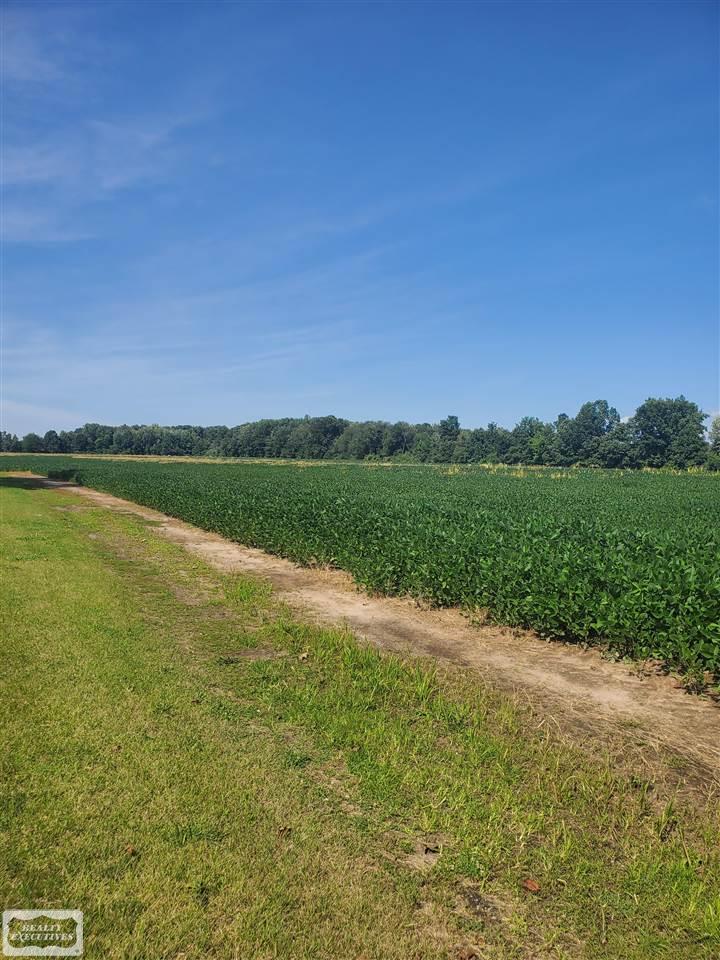 31 31 Mile Road New Haven, MI 48050 - Photo 7 of 10