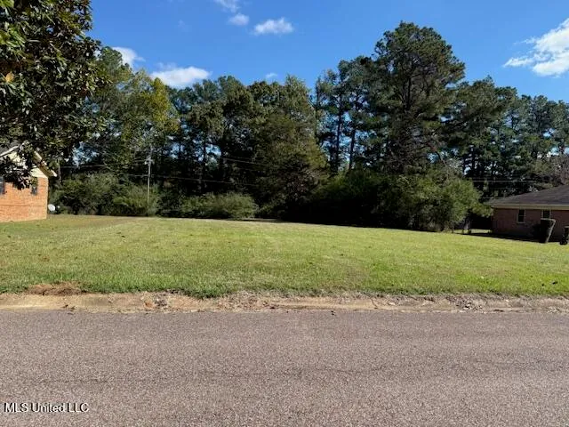 $42,000 | 583 Swaney Drive, Holly Springs, MS 38635