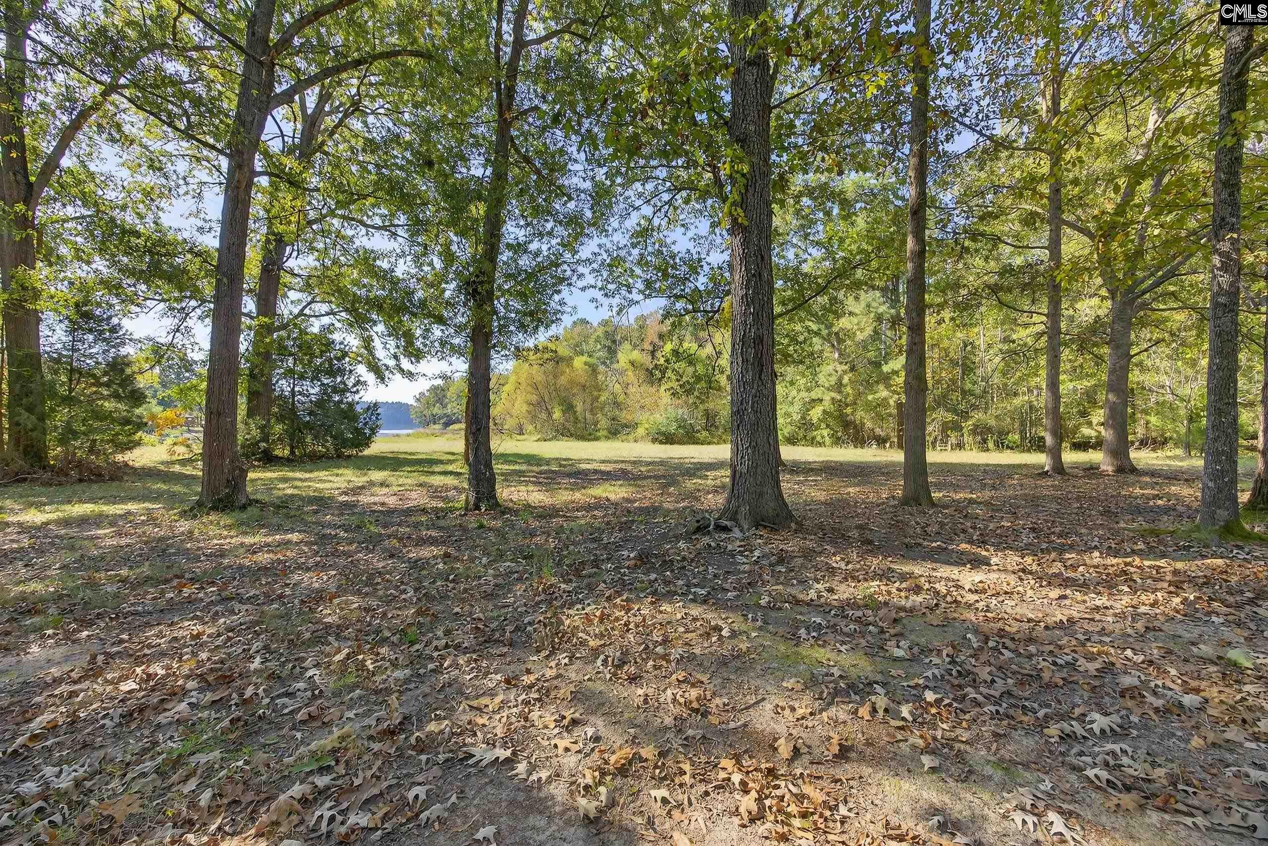 1109 Natures Cove Road Saluda, SC 29138 - Photo 4 of 36