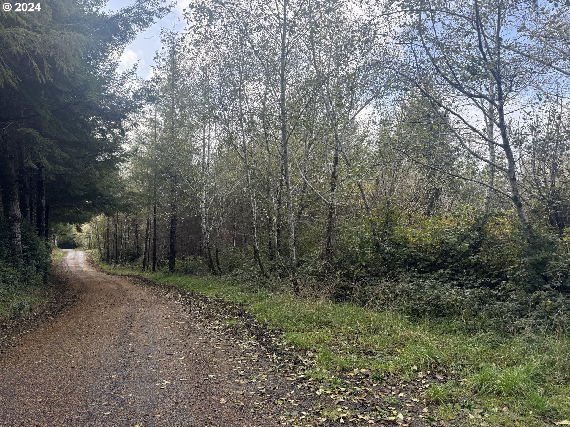 0 Potato Bottom Road, Unit 603 Lakeside, OR 97449 - Photo 27 of 27