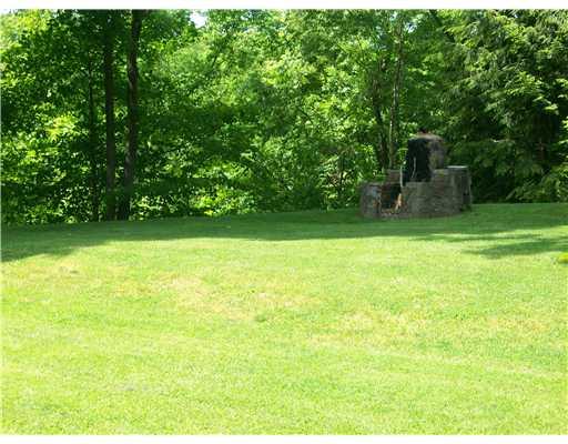 1 Hays Street Rural Ridge, PA 15075 - Photo 12 of 17 Exterior Back. Side Yard with Fireplace