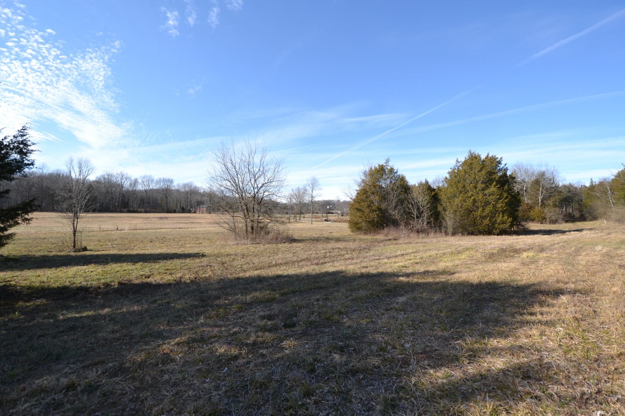 5 Chicken Road Lebanon, TN 37090 - Photo 1 of 40 Gallery Image 1