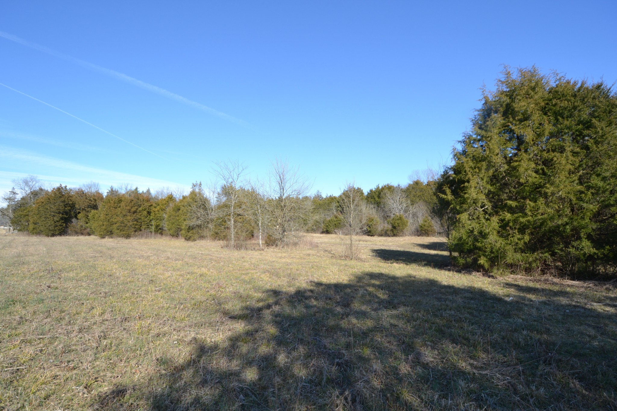 5 Chicken Road Lebanon, TN 37090 - Photo 11 of 40 Gallery Image 11