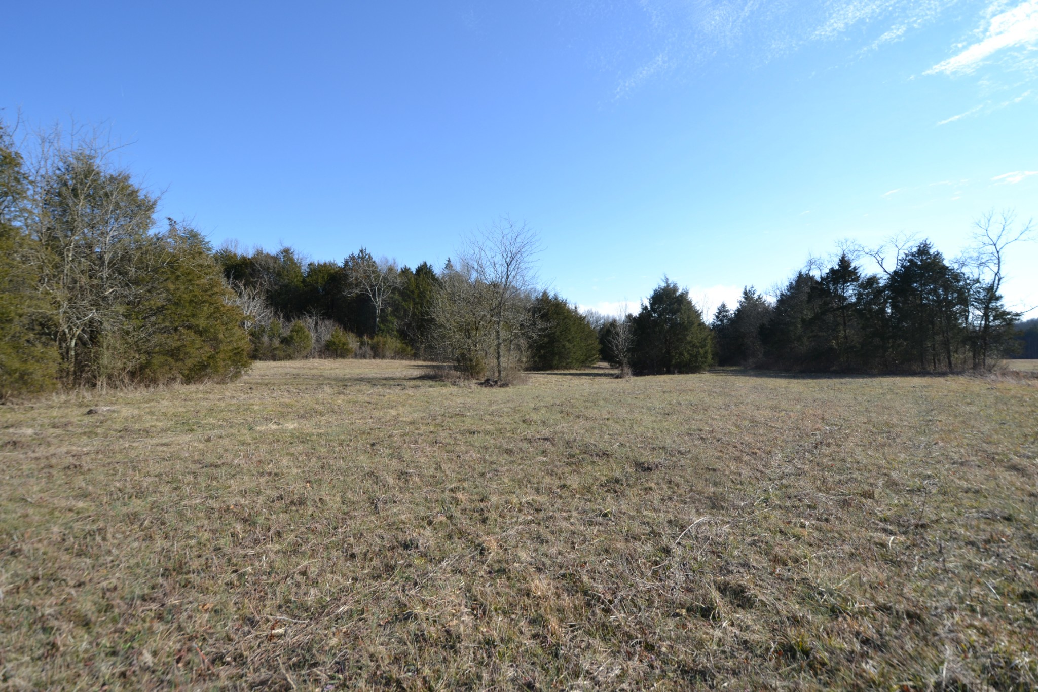5 Chicken Road Lebanon, TN 37090 - Photo 12 of 40 Gallery Image 12
