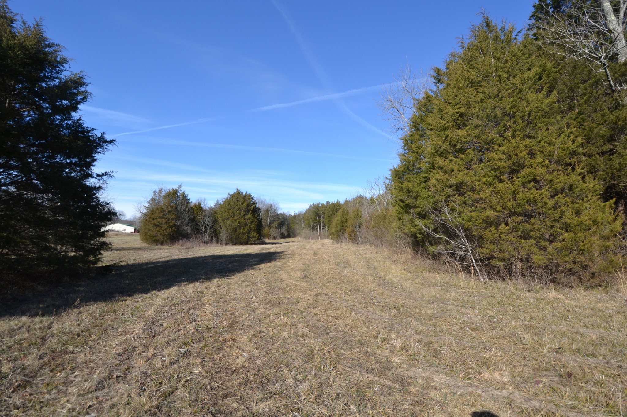 5 Chicken Road Lebanon, TN 37090 - Photo 13 of 40 Gallery Image 13