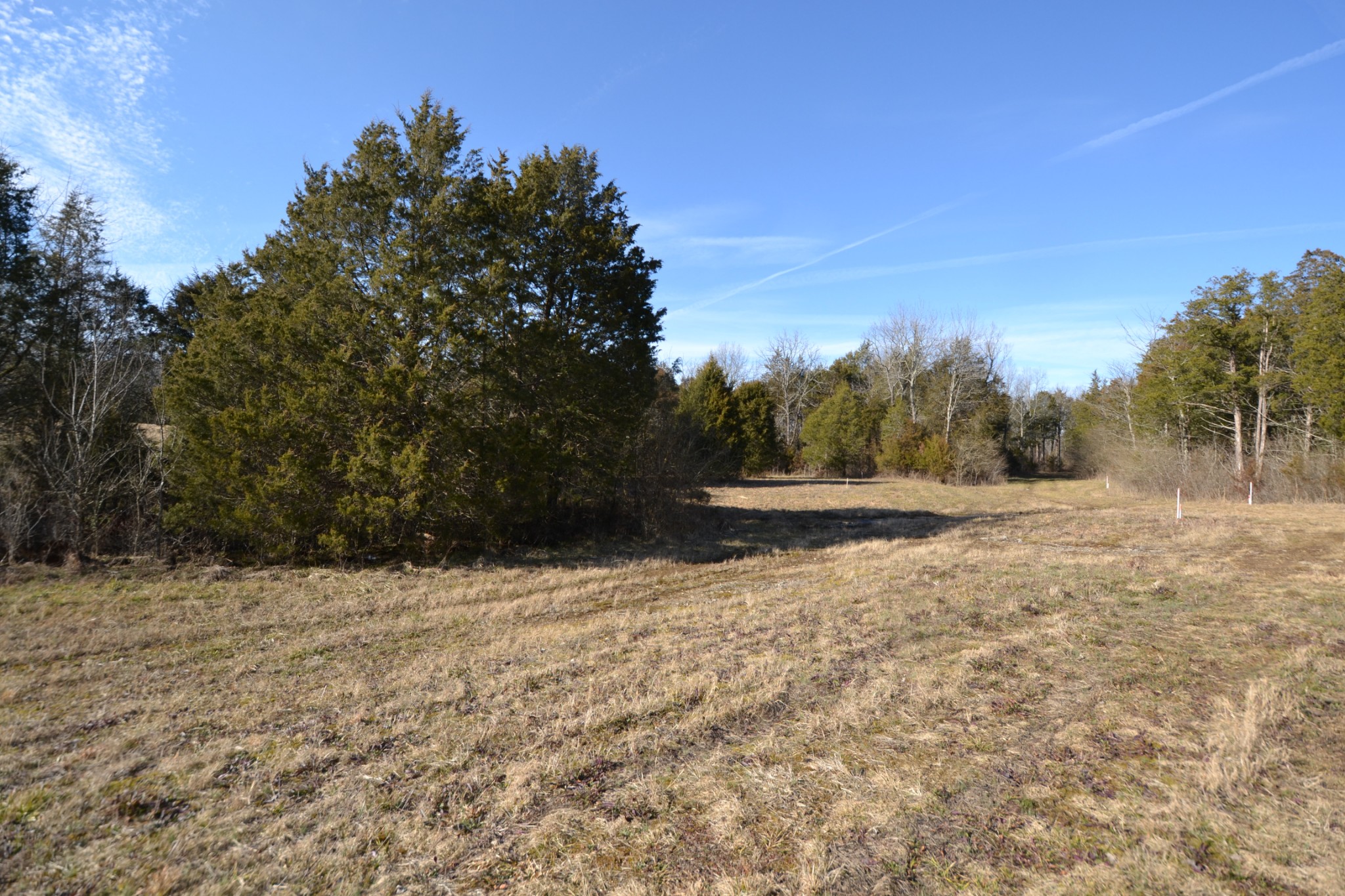 5 Chicken Road Lebanon, TN 37090 - Photo 14 of 40 Gallery Image 14