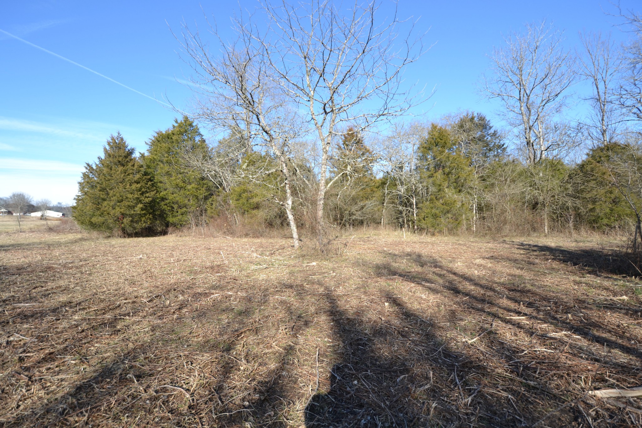 5 Chicken Road Lebanon, TN 37090 - Photo 15 of 40 Gallery Image 15