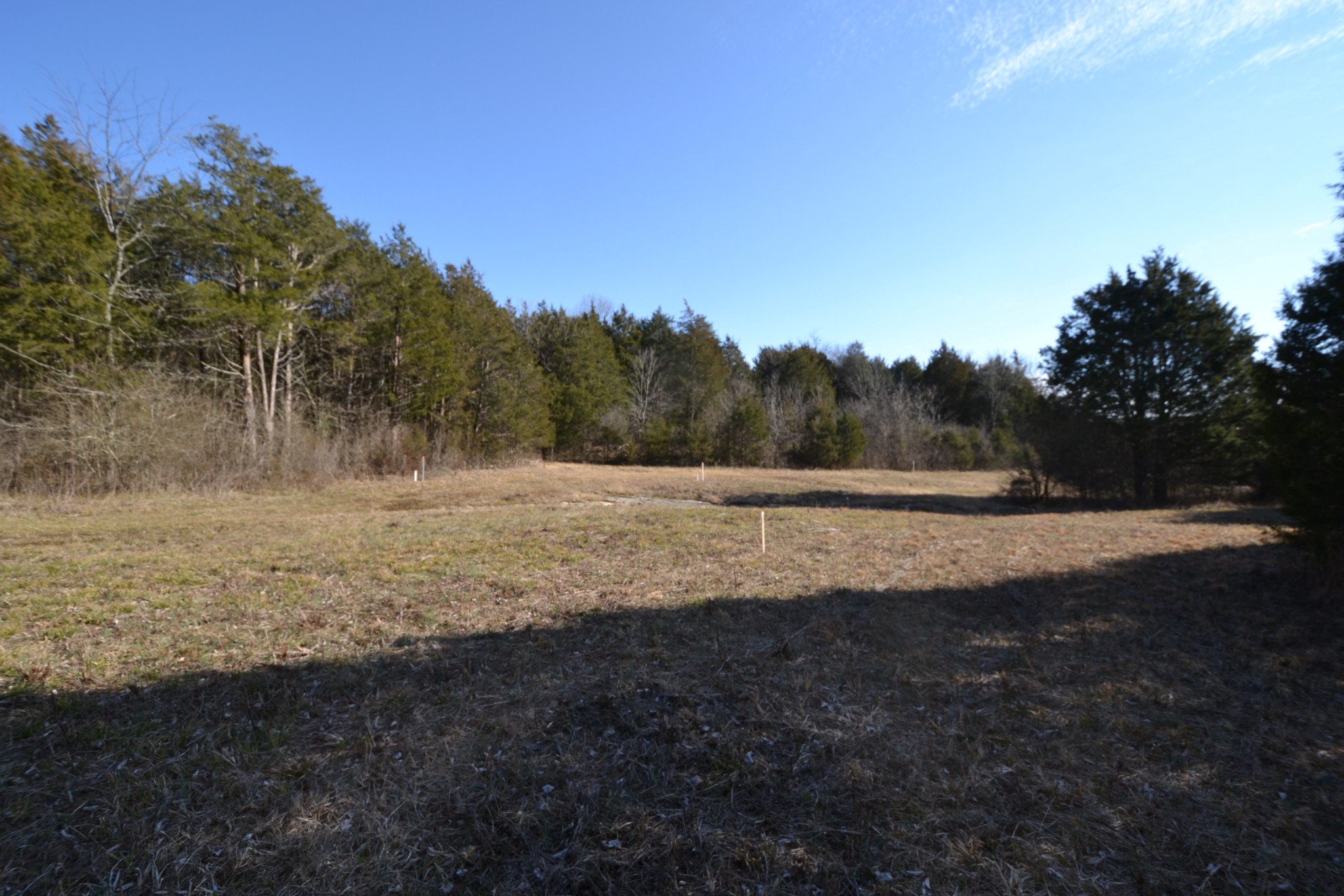 5 Chicken Road Lebanon, TN 37090 - Photo 16 of 40 Gallery Image 16