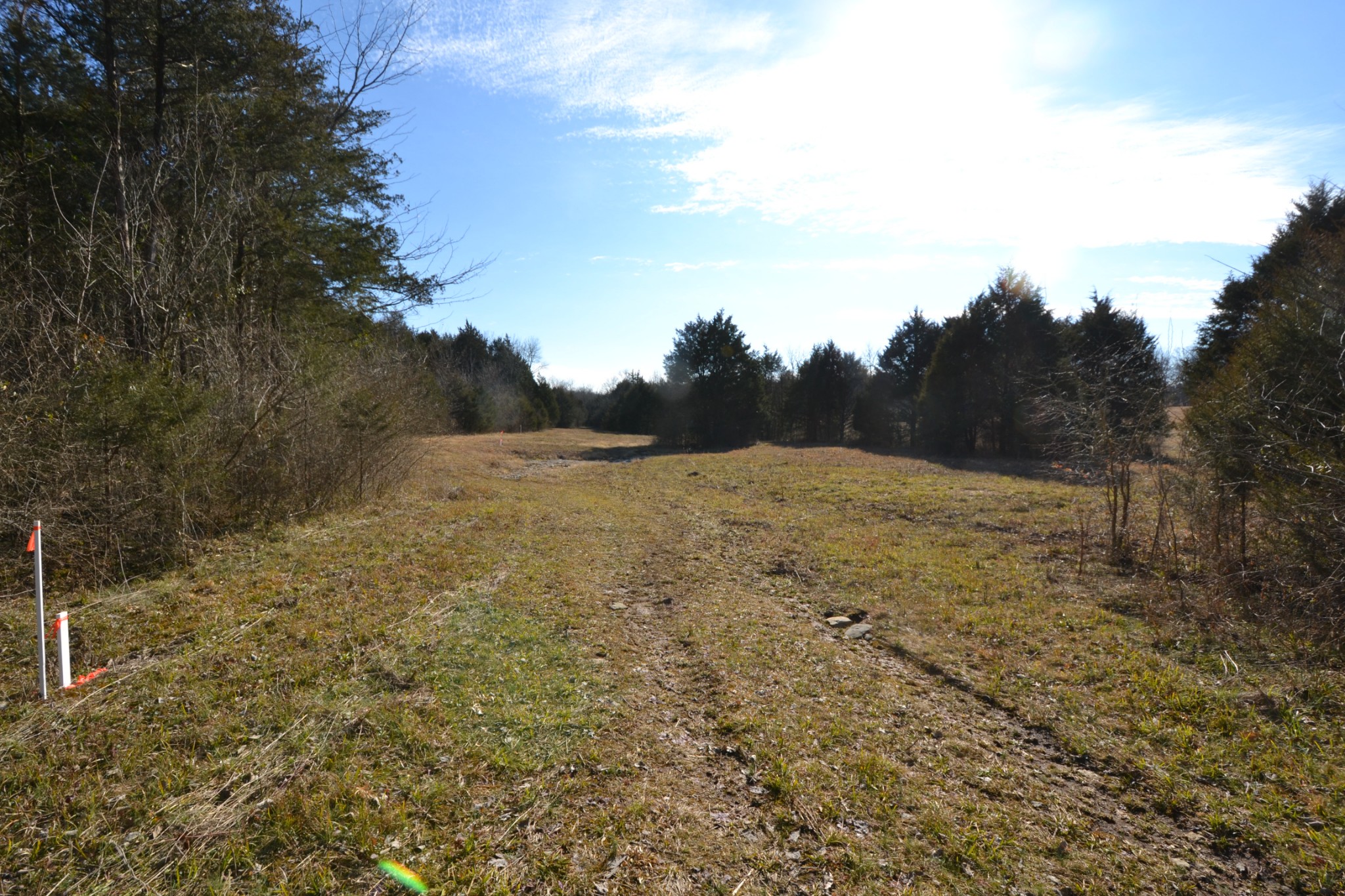 5 Chicken Road Lebanon, TN 37090 - Photo 17 of 40 Gallery Image 17