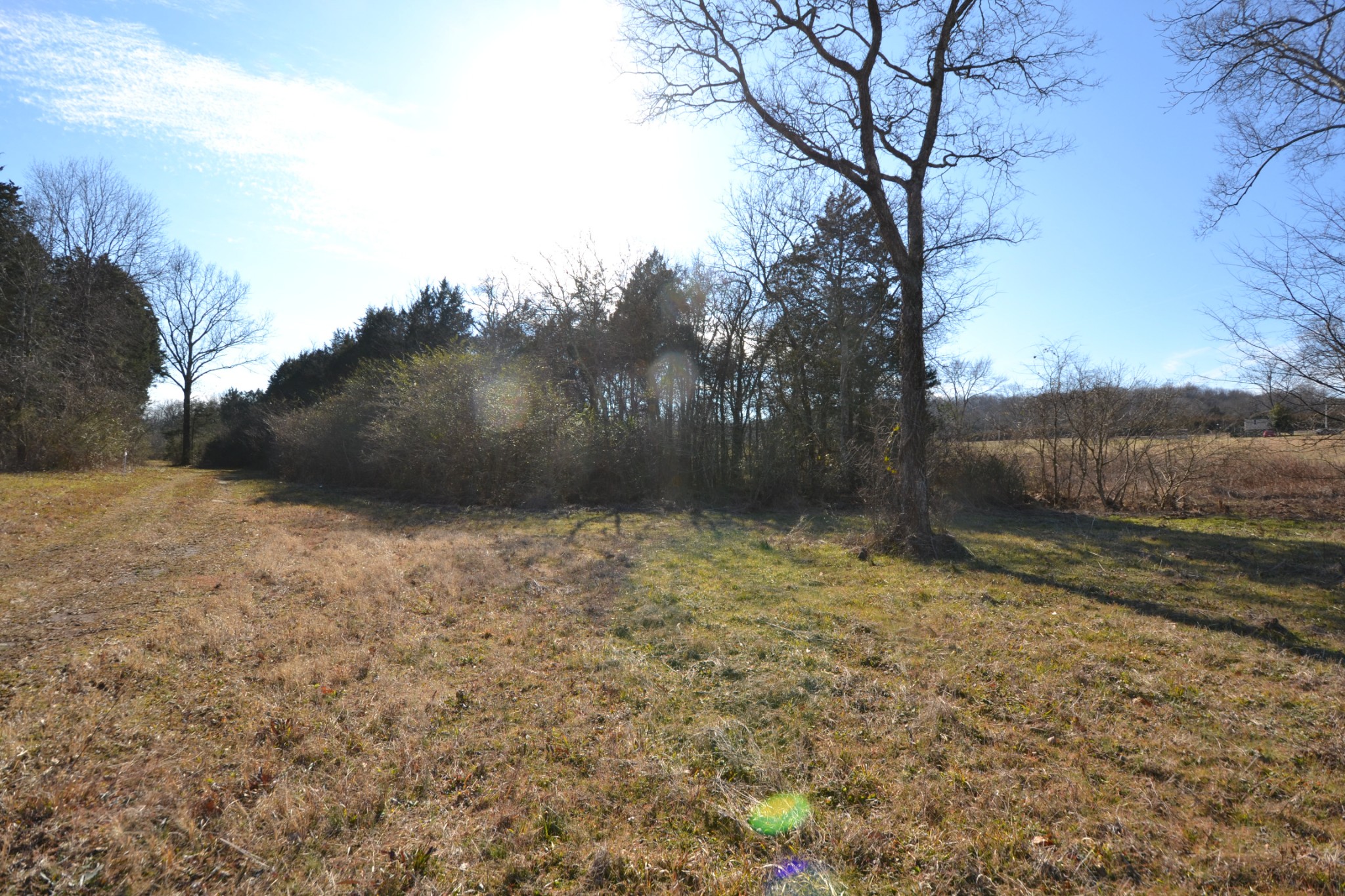 5 Chicken Road Lebanon, TN 37090 - Photo 19 of 40 Gallery Image 19