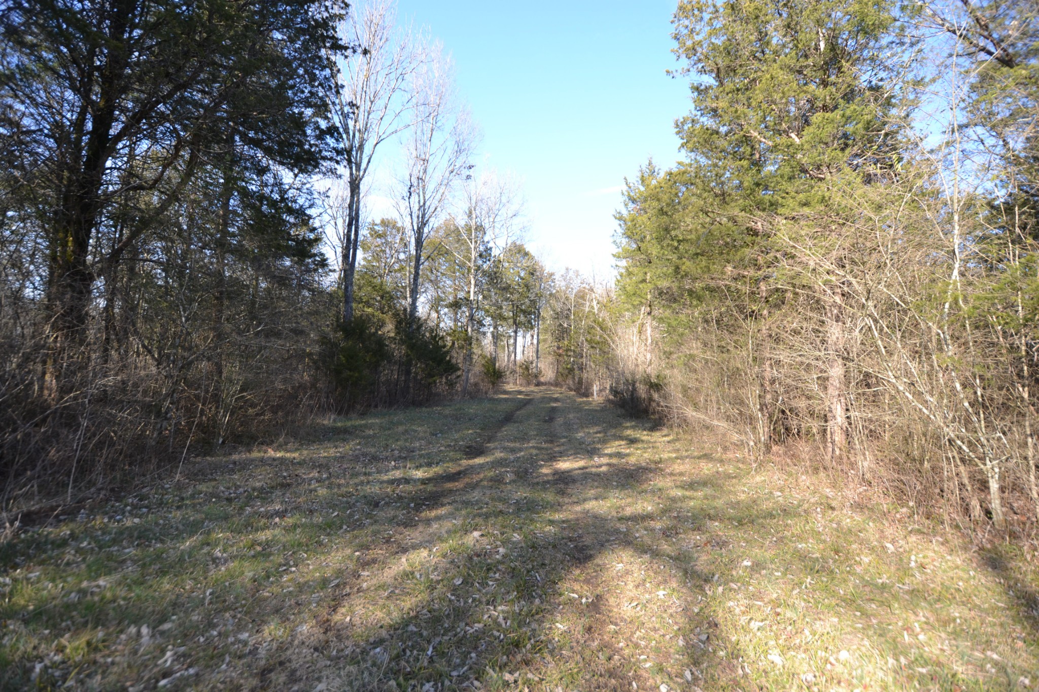 5 Chicken Road Lebanon, TN 37090 - Photo 20 of 40 Gallery Image 20