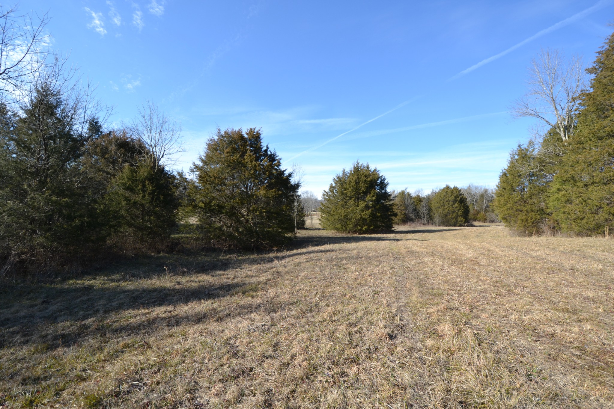 5 Chicken Road Lebanon, TN 37090 - Photo 3 of 40 Gallery Image 3