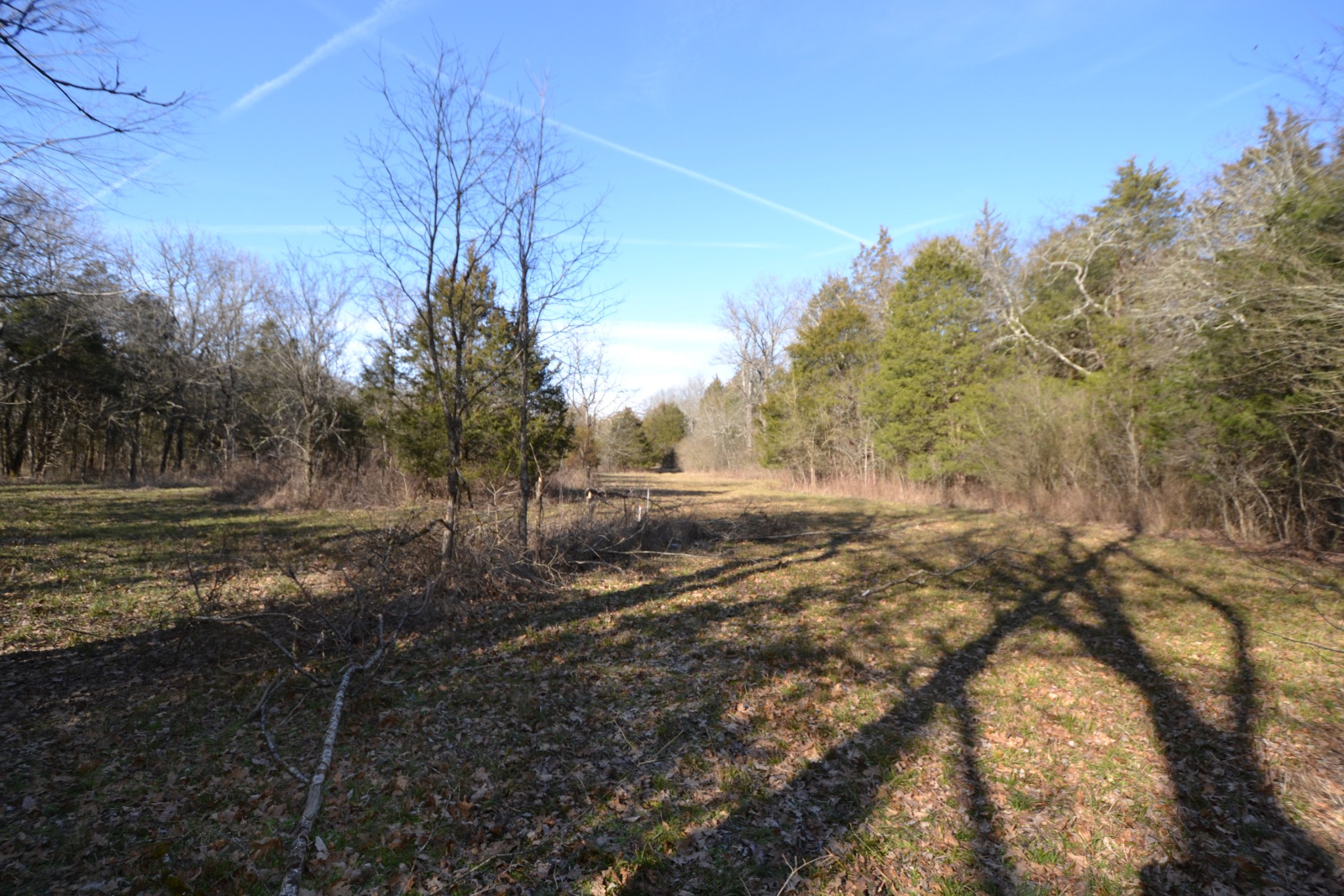 5 Chicken Road Lebanon, TN 37090 - Photo 21 of 40 Gallery Image 21